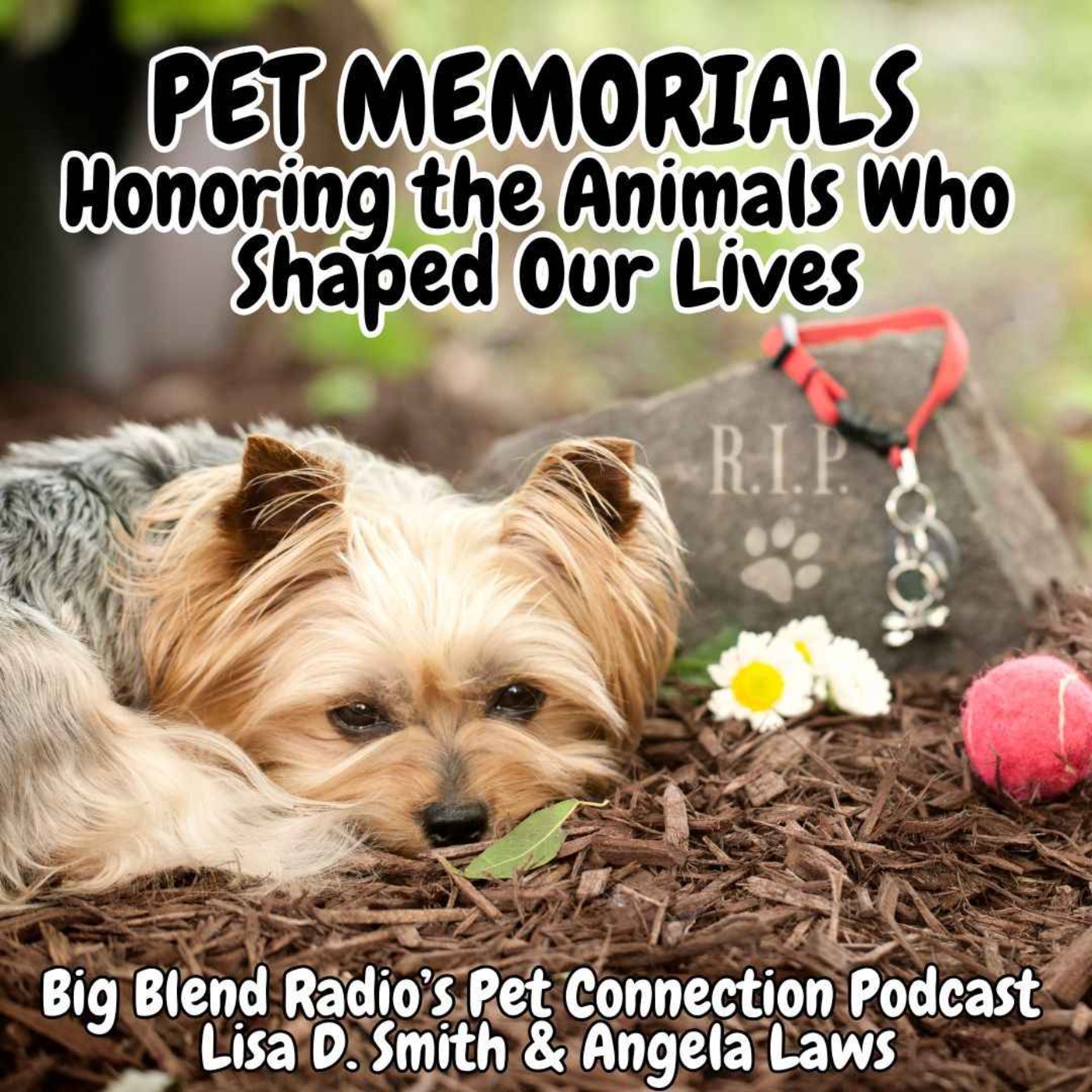 Pet Memorials: Honoring the Animals Who Shaped Our Lives