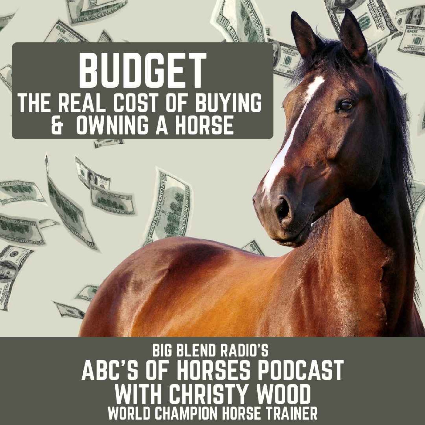 Budget: The Real Cost of Buying and Owning a Horse