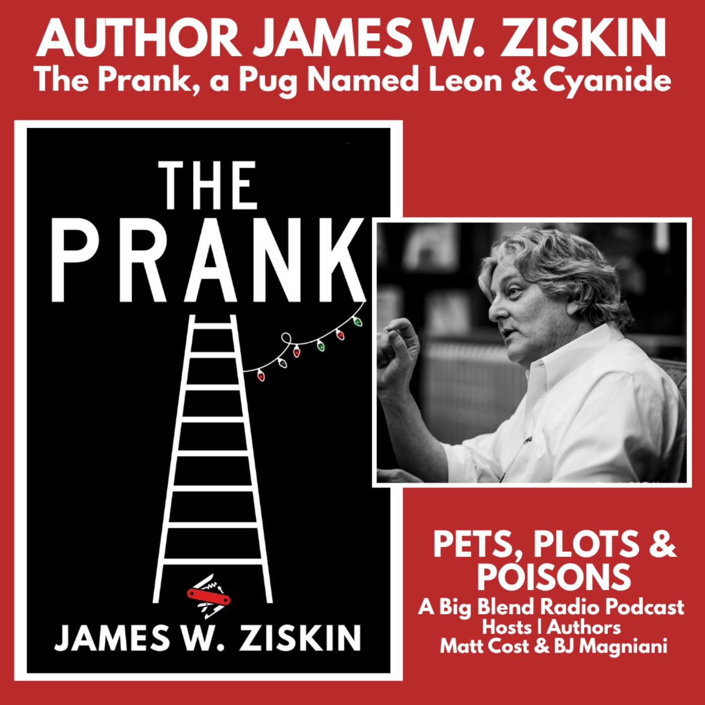 Author James W. Ziskin on Pets, Plots & Poisons episode artwork
