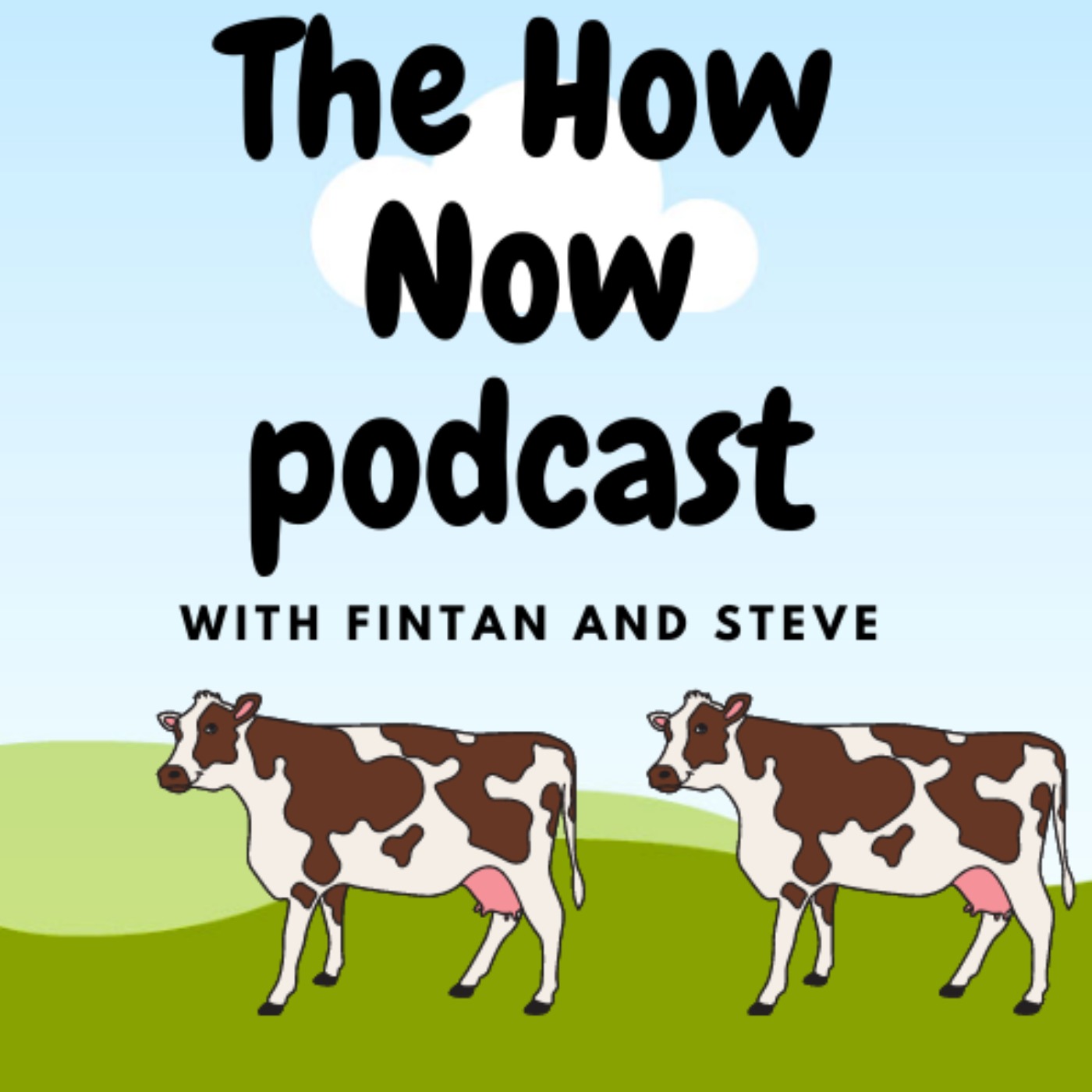 The How Now Podcast