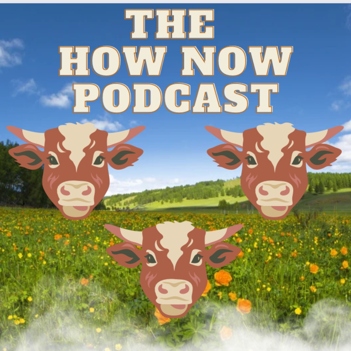 The How Now Podcast