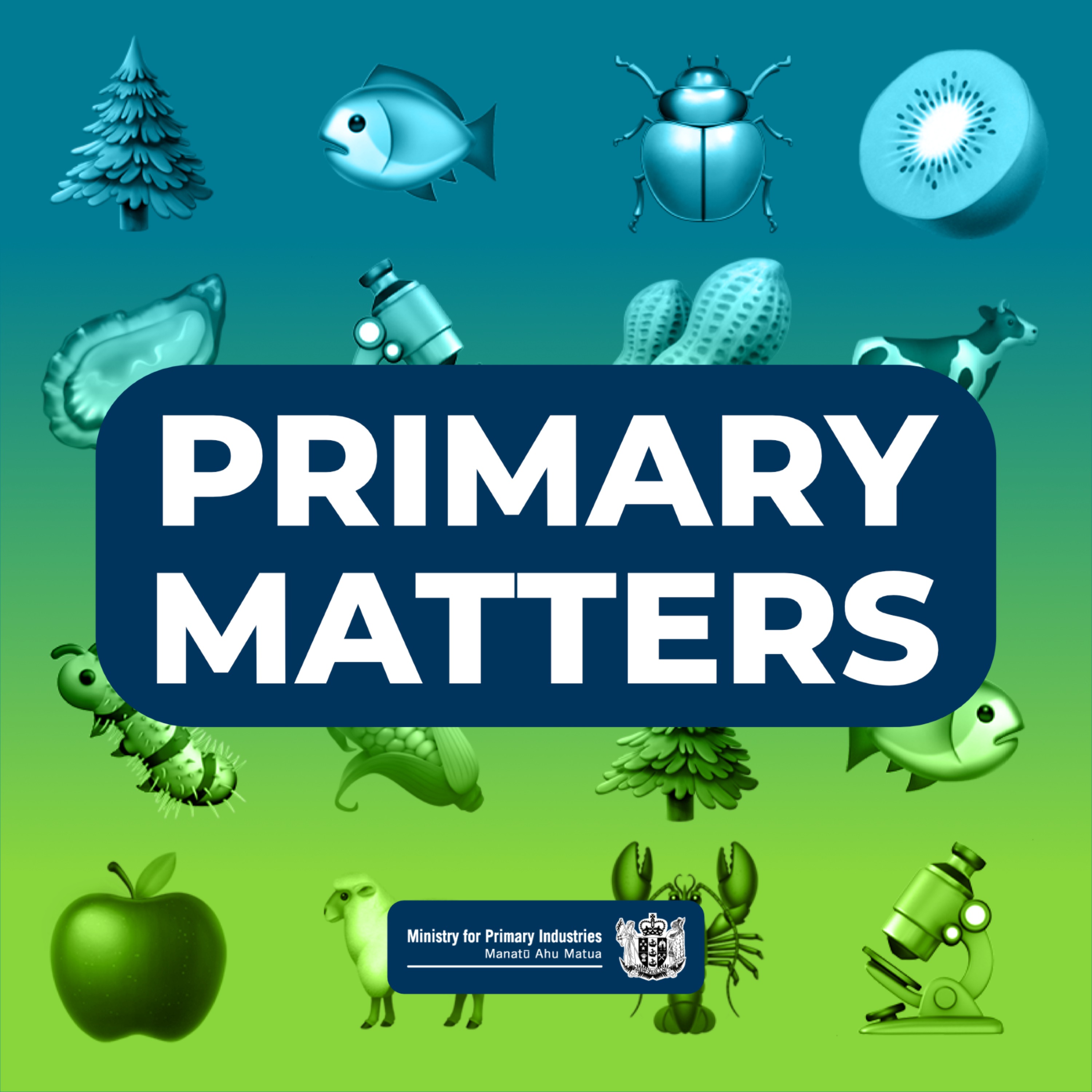 cover art for Primary Matters - The Wonders of Wool