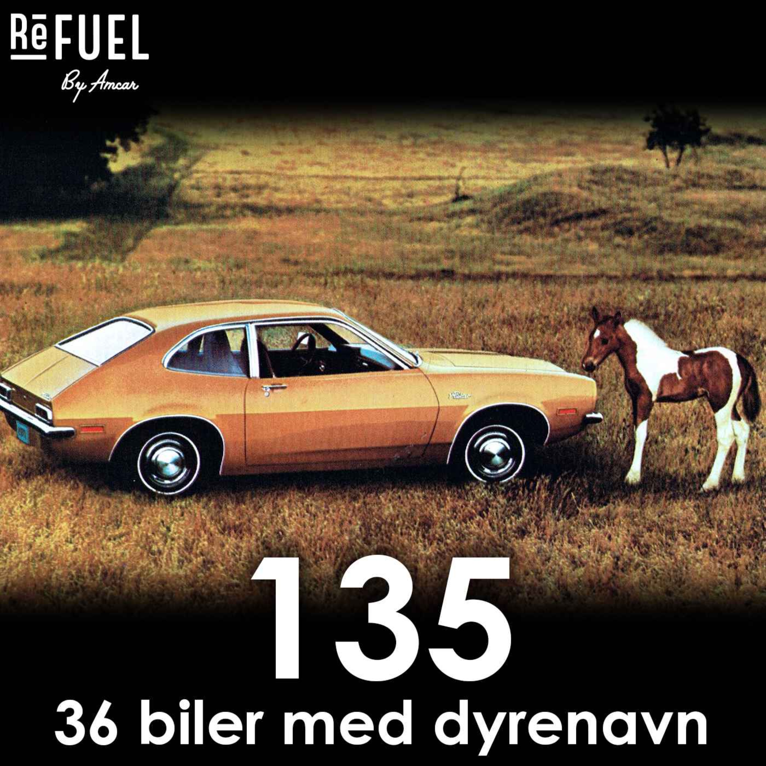 #135 - 36 biler med dyrenavn