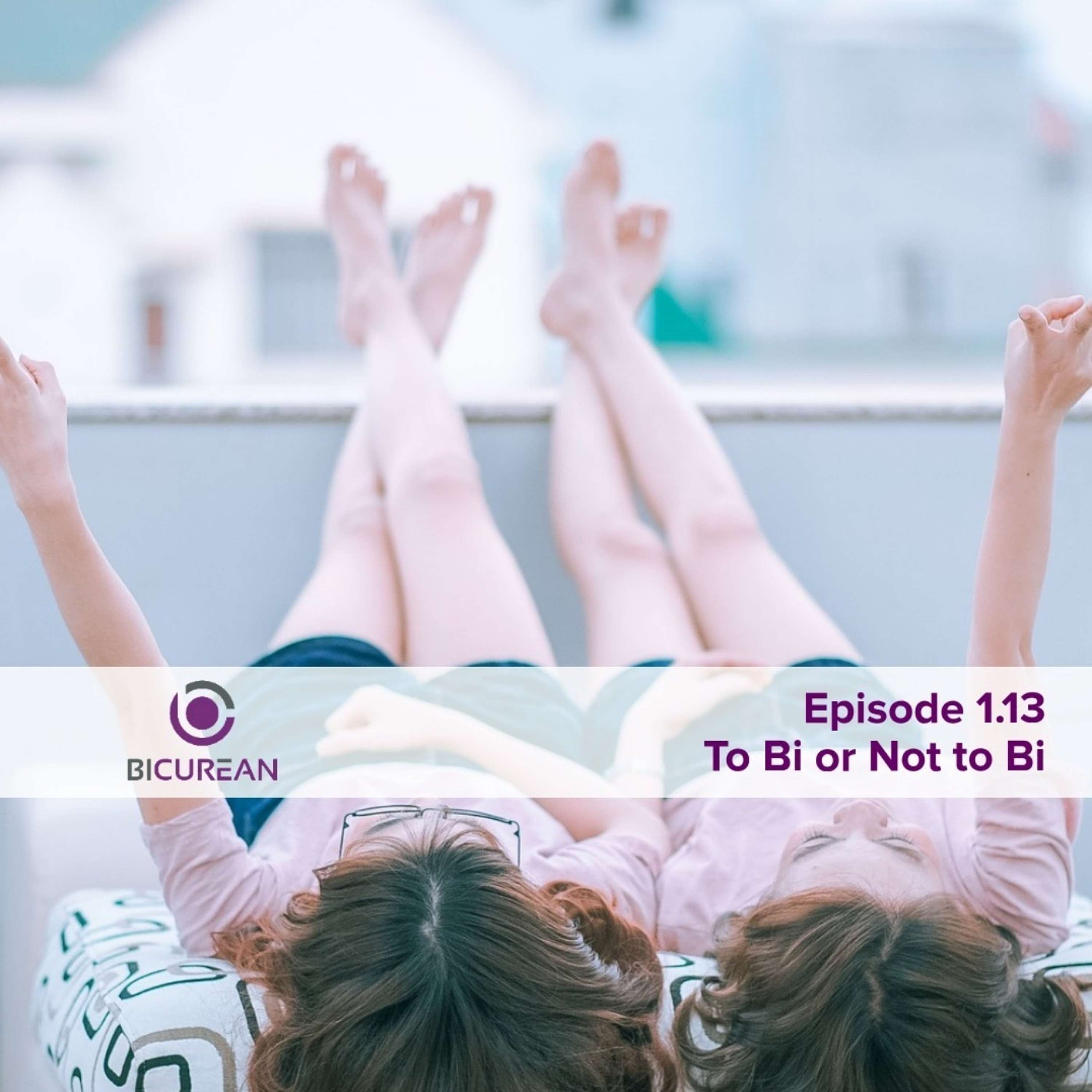 1.13 To Bi or Not to Bi episode artwork