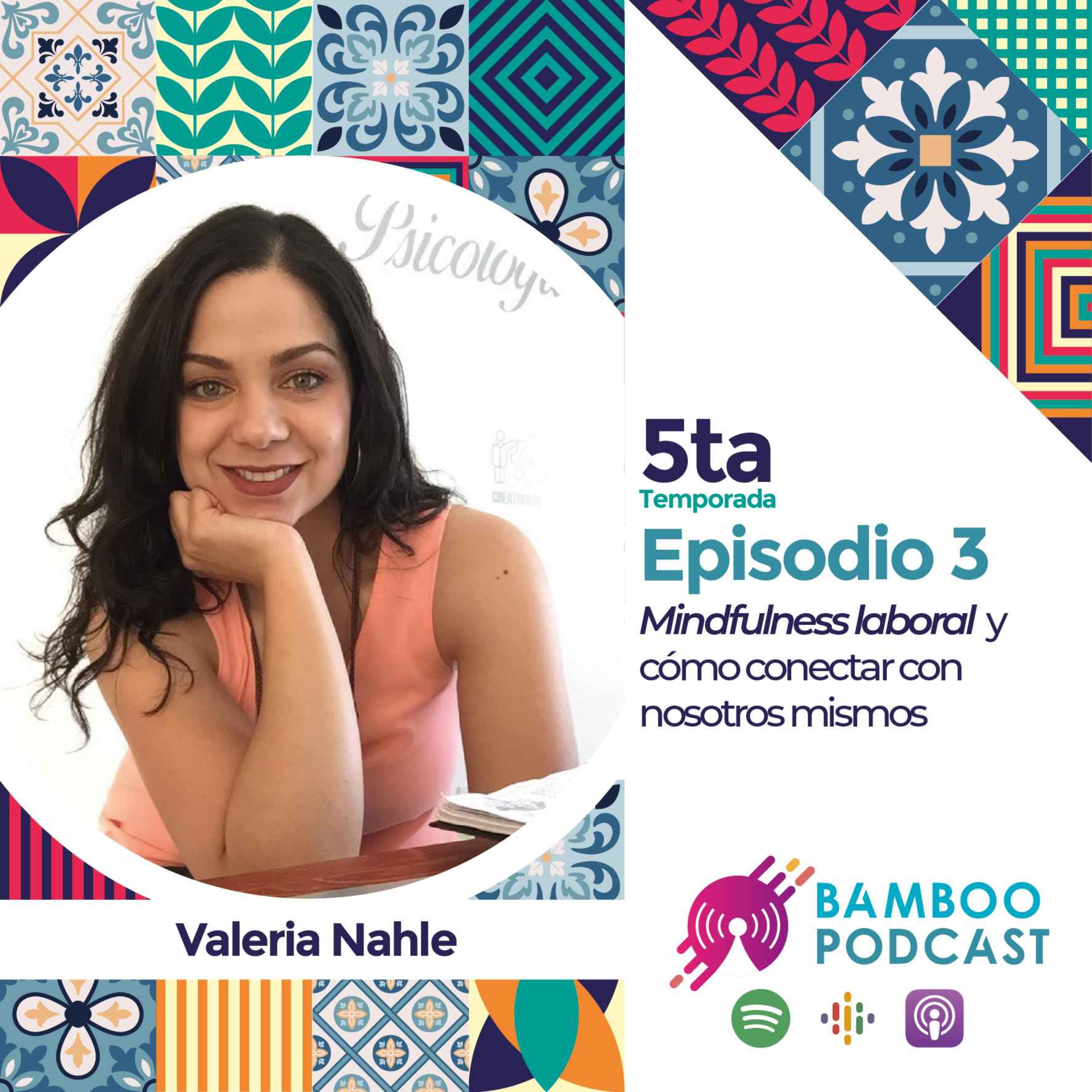 Bamboo Podcast
