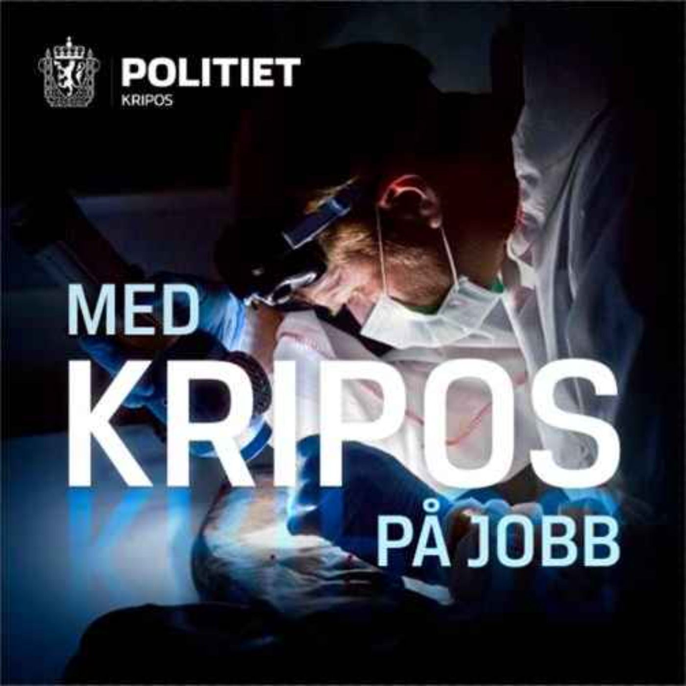 cover art for Hydro-saken: Hva kan norsk politi gjøre i utlandet?