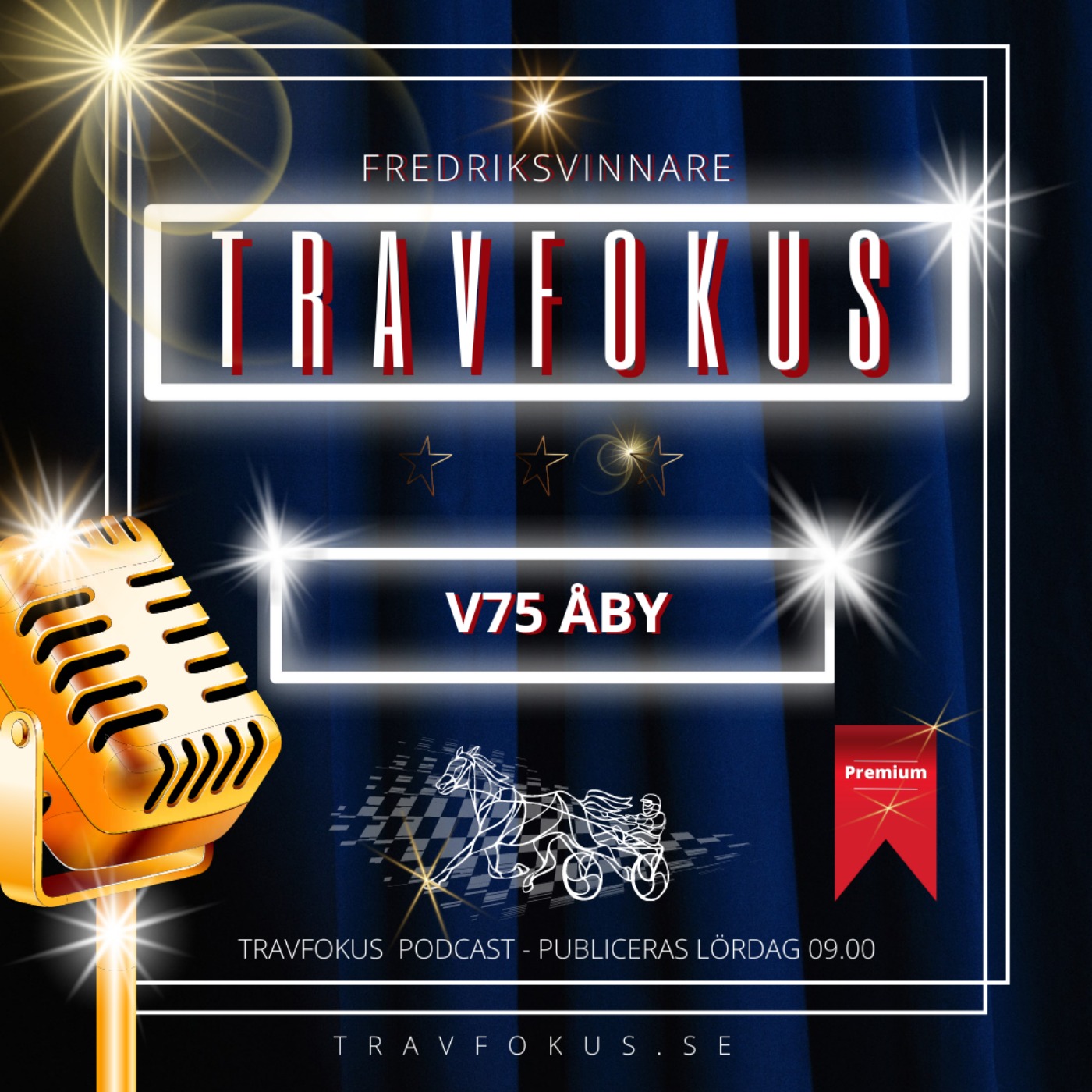 TRAVFOKUS.SE - ÅBY V75 12 AUGUSTI episode artwork