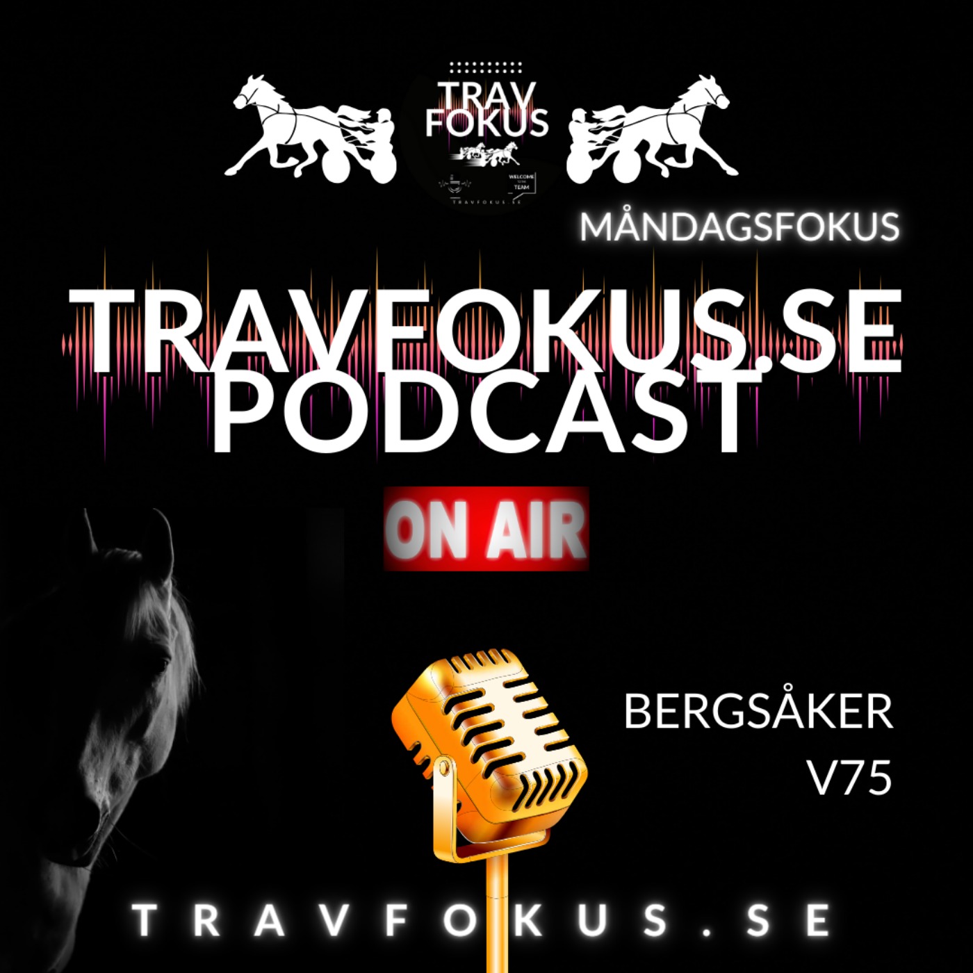 Travfokus Podcast #29 episode artwork