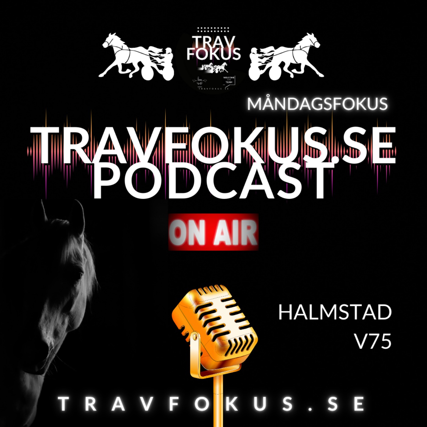 Travfokus.se Podcast episode artwork