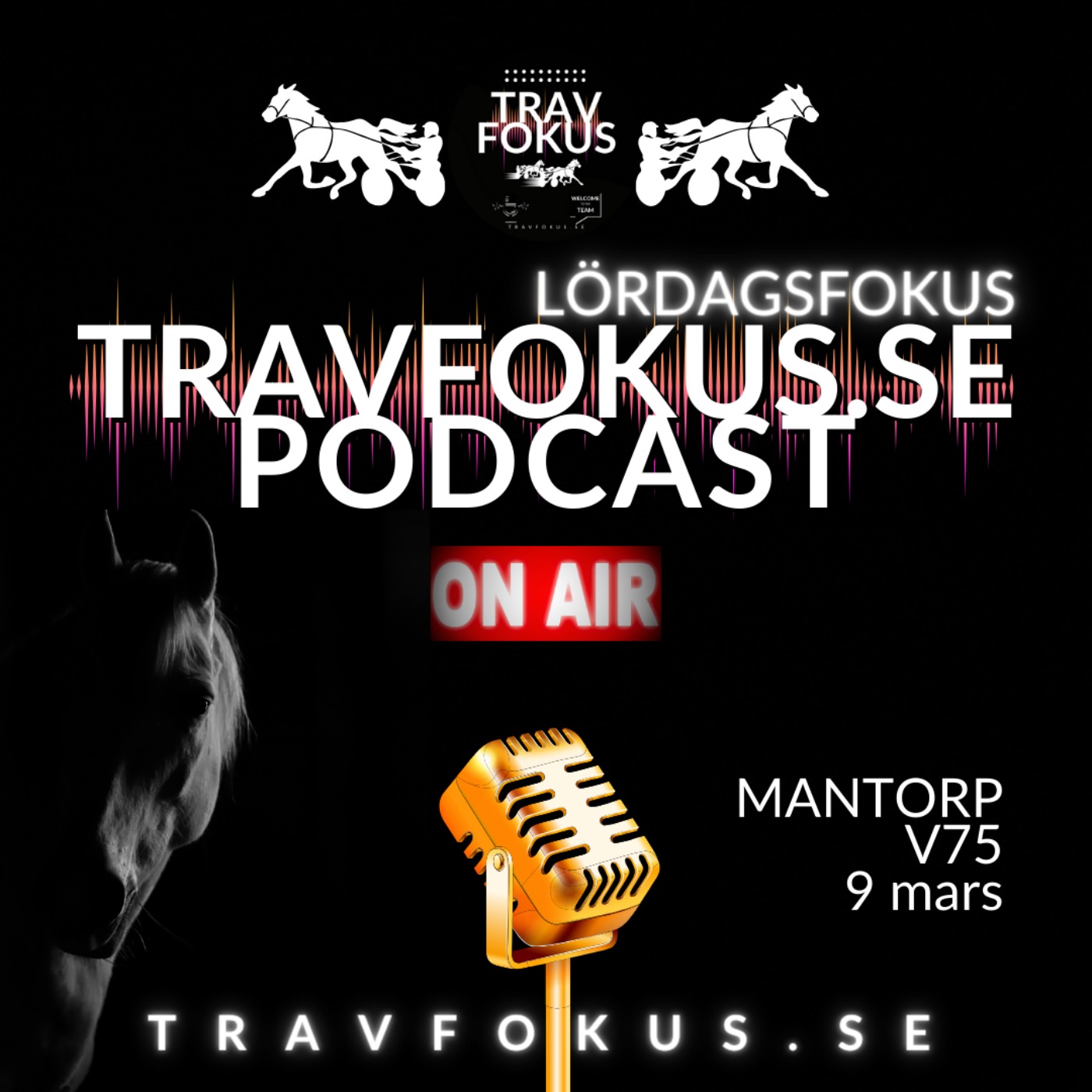 TRAVFOKUS.SE PODCAST MANTORP V75 #36 episode artwork