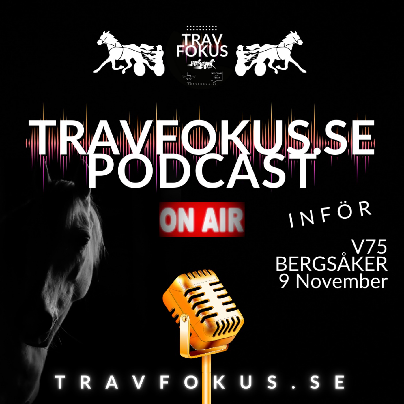 Trailer V75 Bergsåker episode artwork