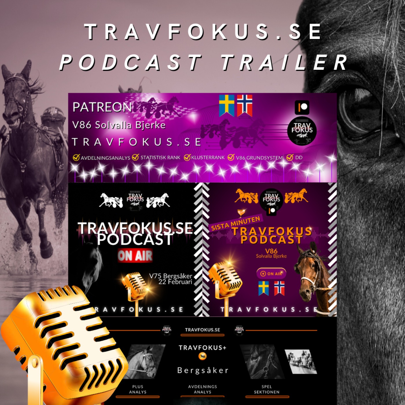 Travfokus.se  Veckans Trailer episode artwork