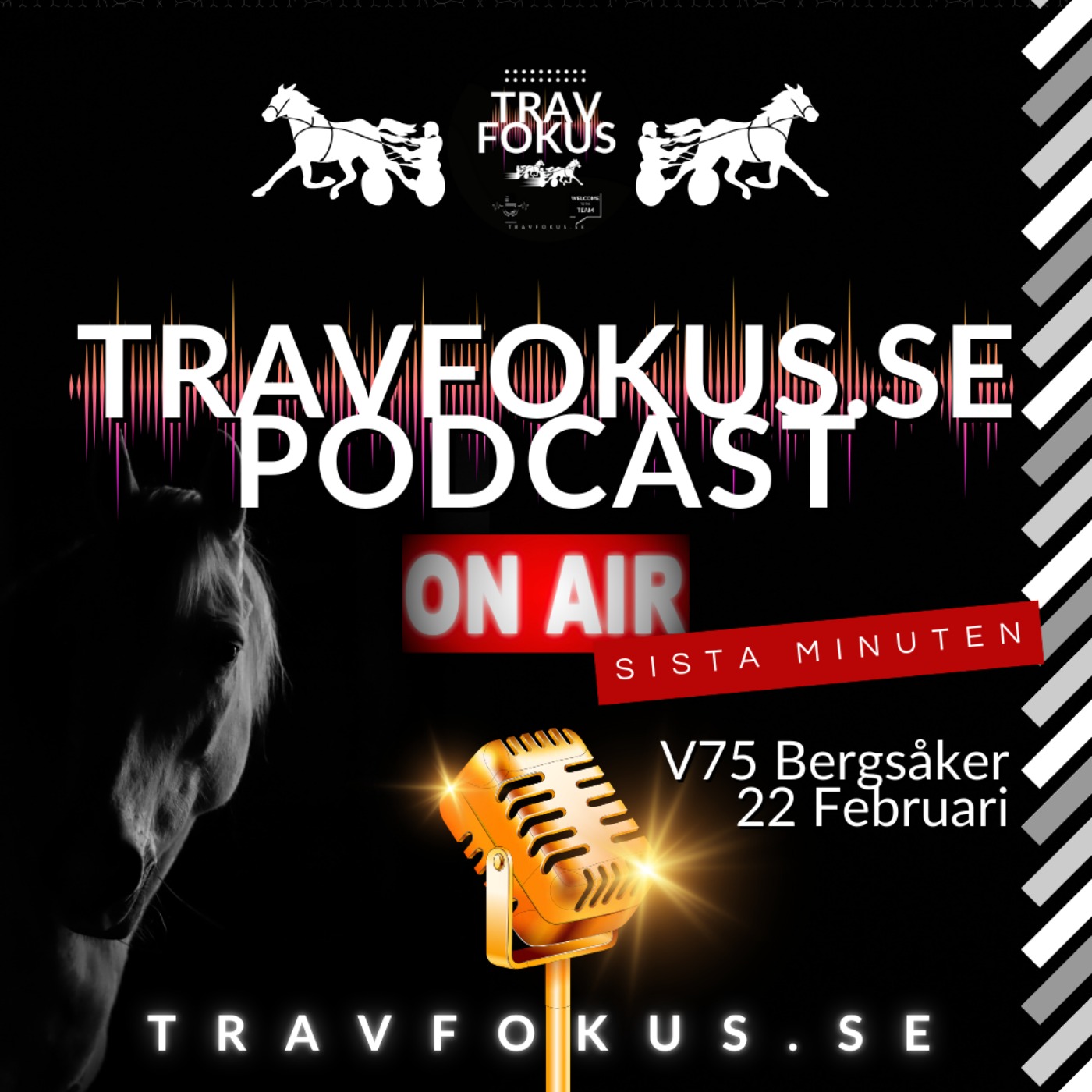 Travfokus.se Sista Minuten episode artwork