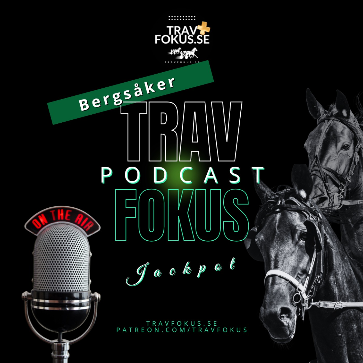Jackpot Bergsåker V85 episode artwork