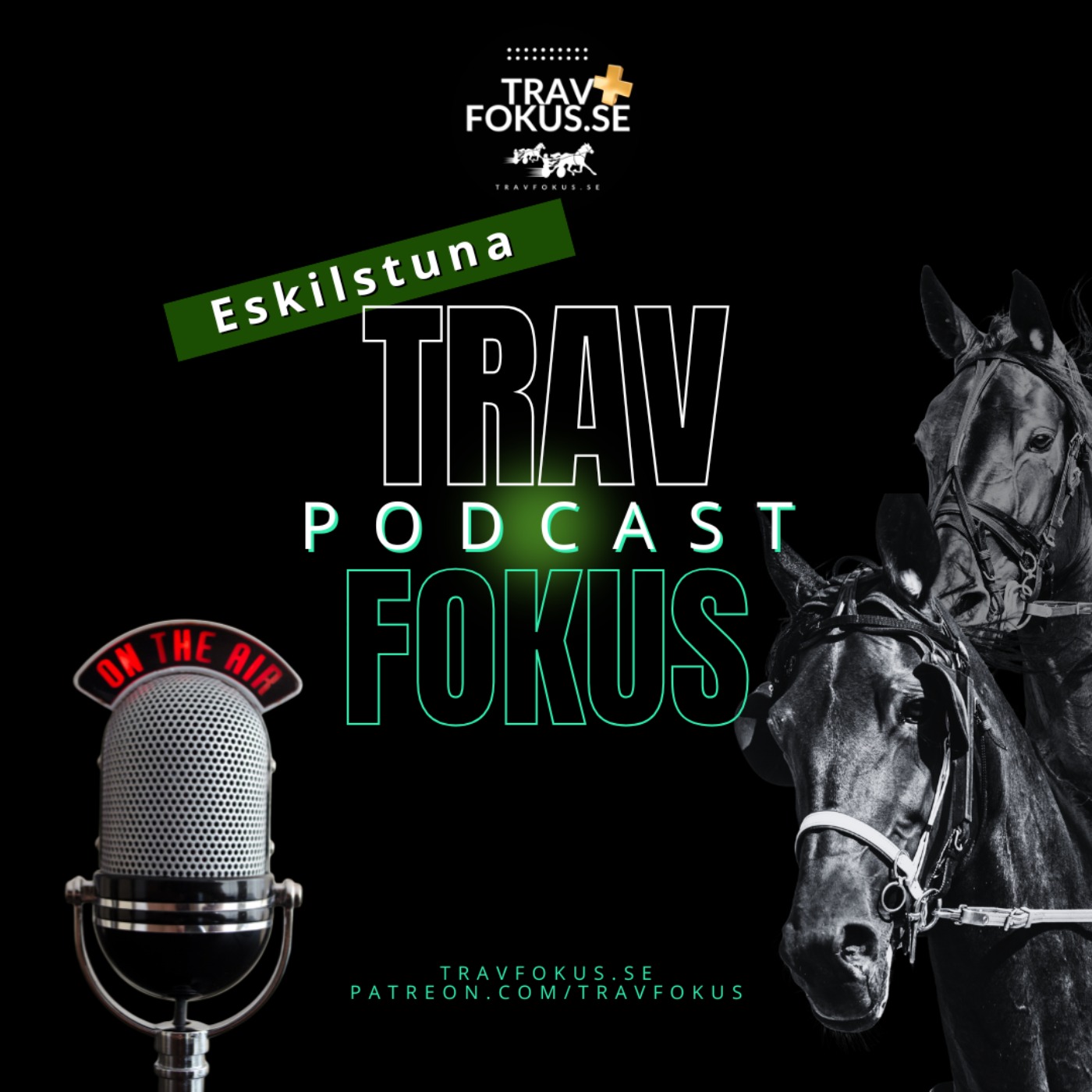 Travfokus.se Podcast - Eskilstuna V85 episode artwork