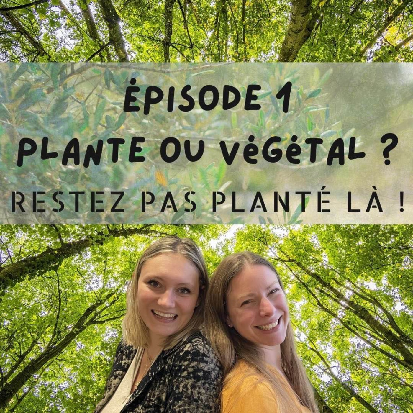 Restez pas planté là !