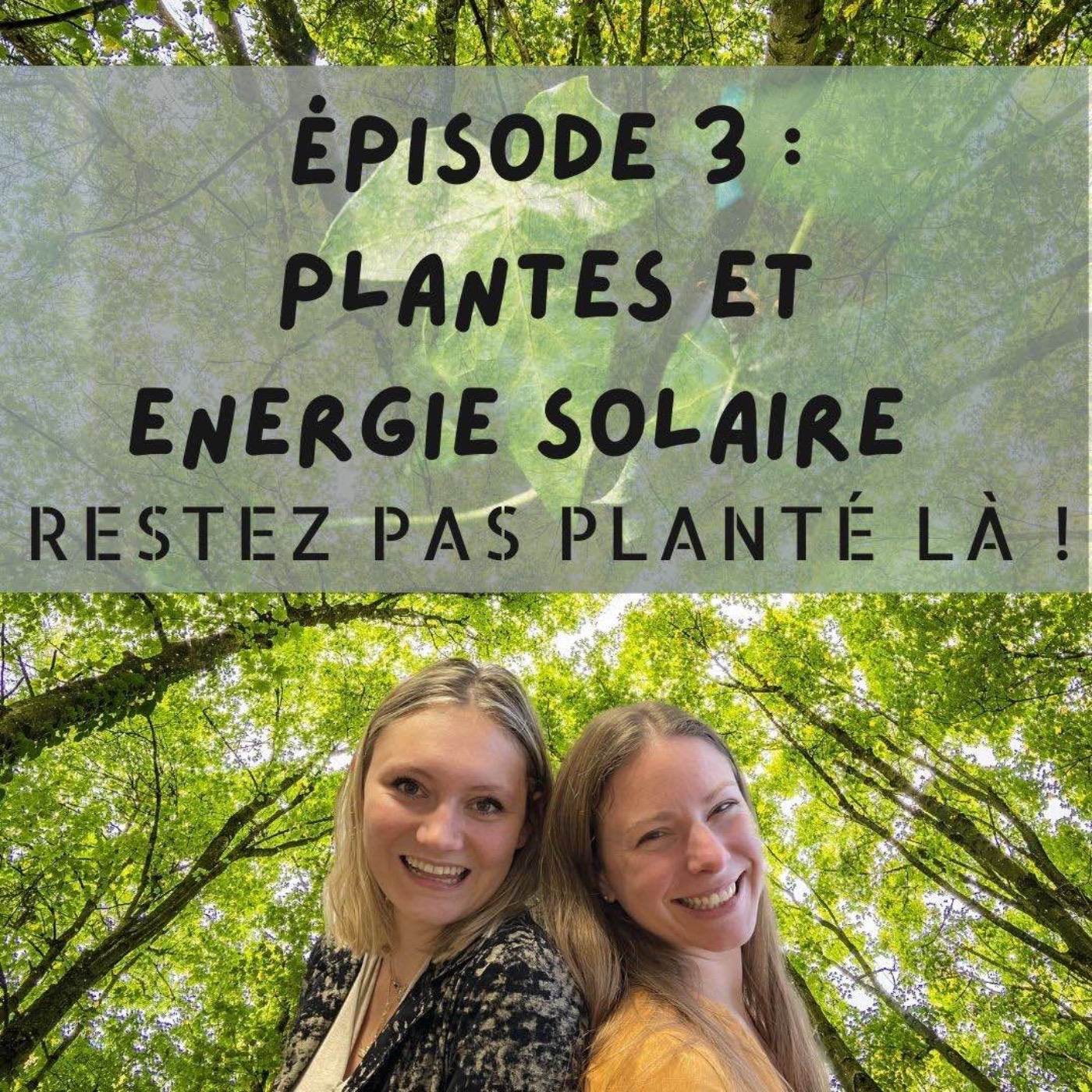 Restez pas planté là !
