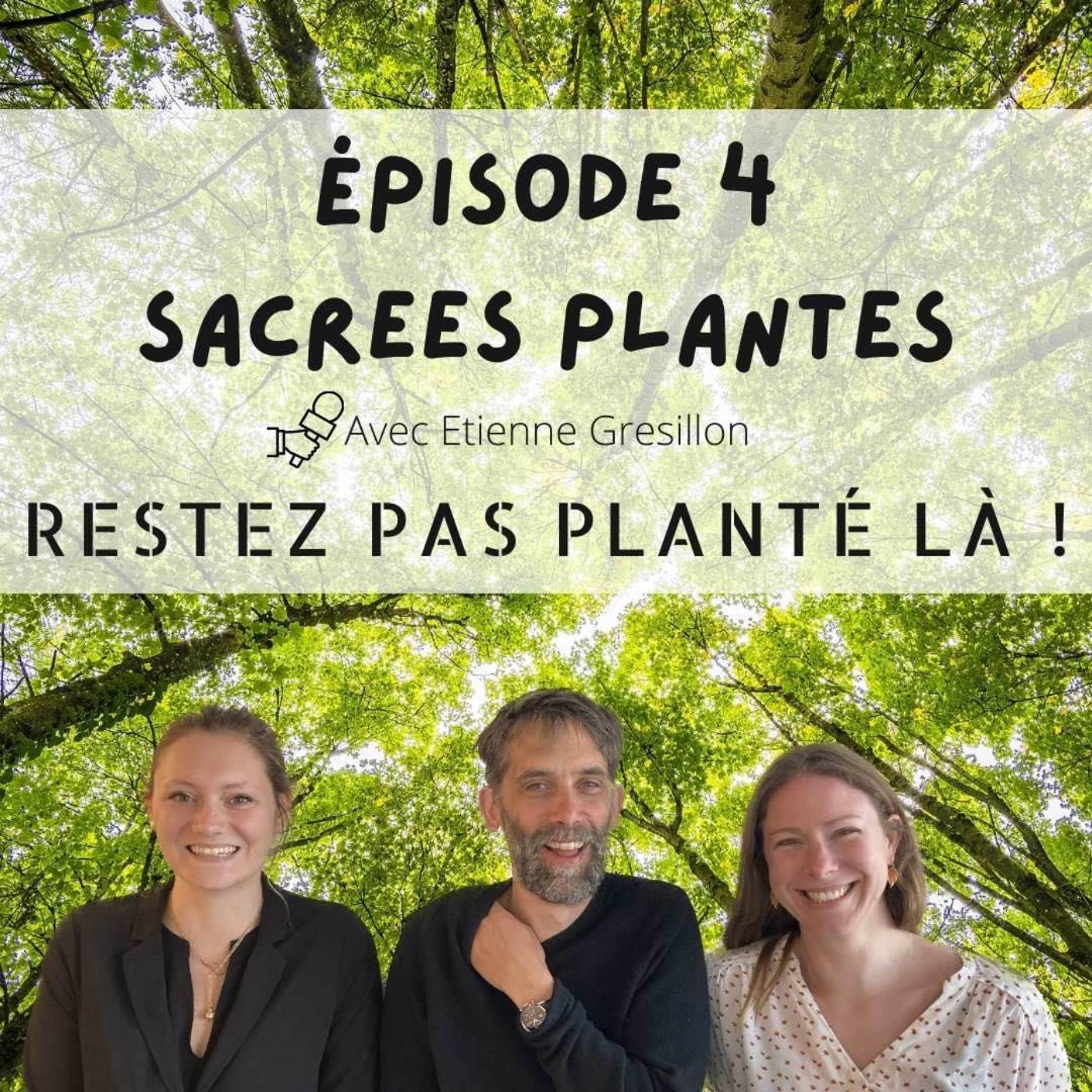 Restez pas planté là !