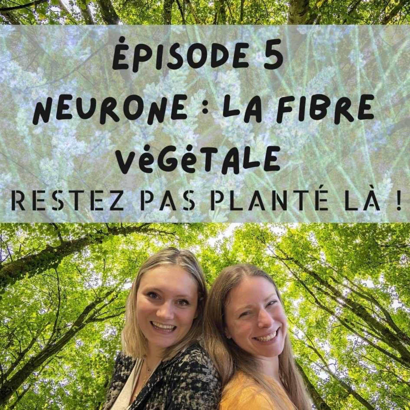 Restez pas planté là !