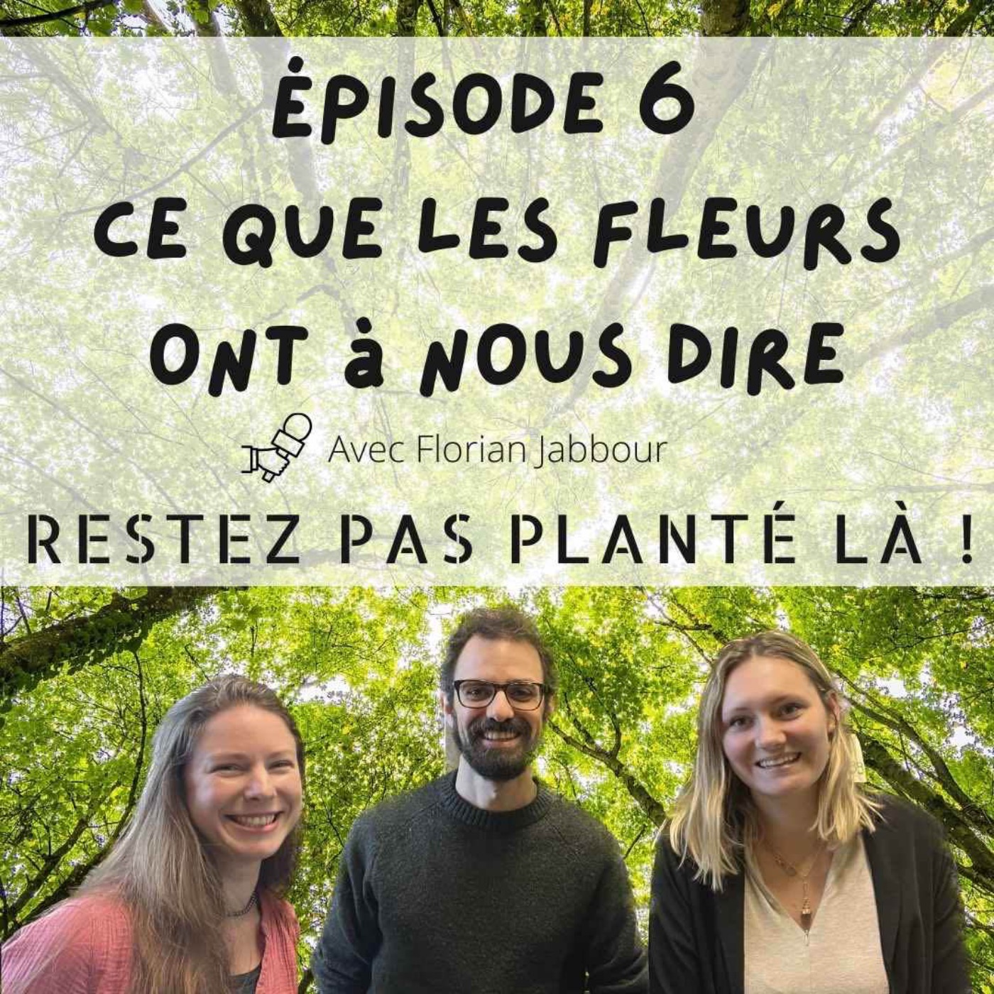 Restez pas planté là !
