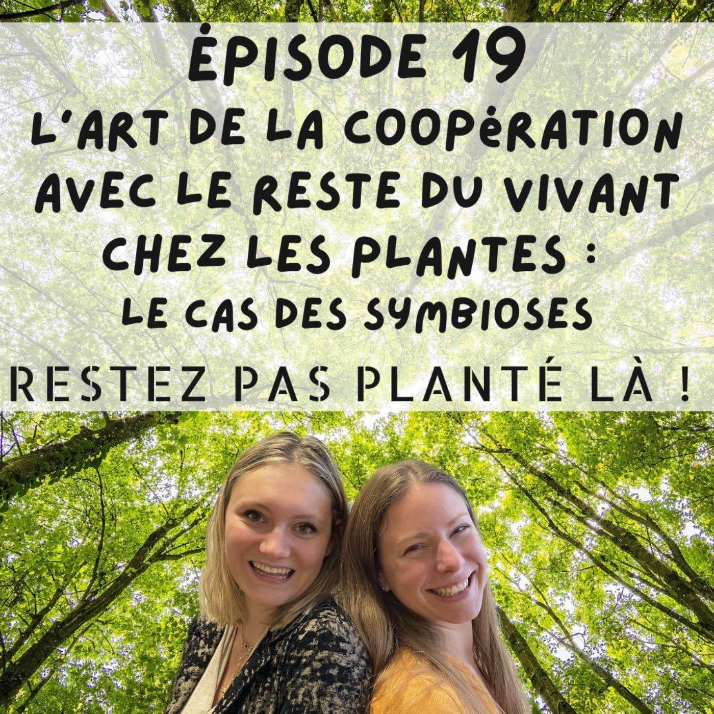 Restez pas planté là !