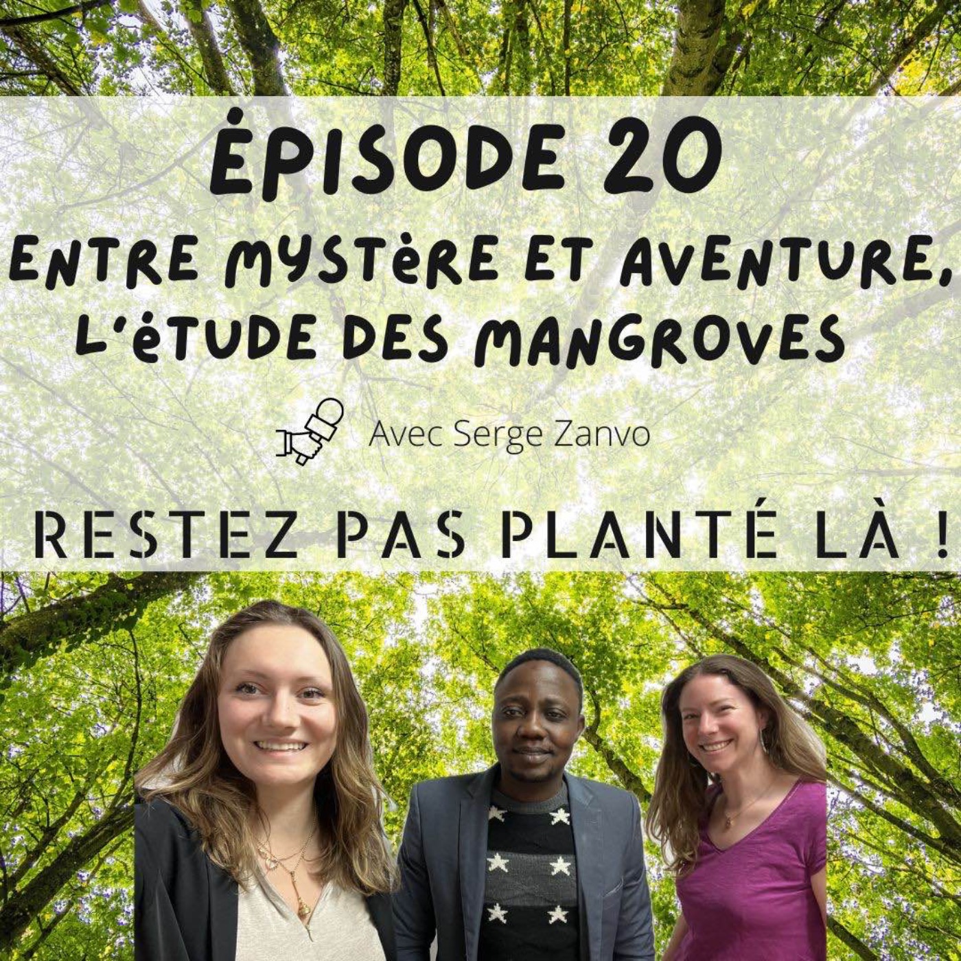 Restez pas planté là !