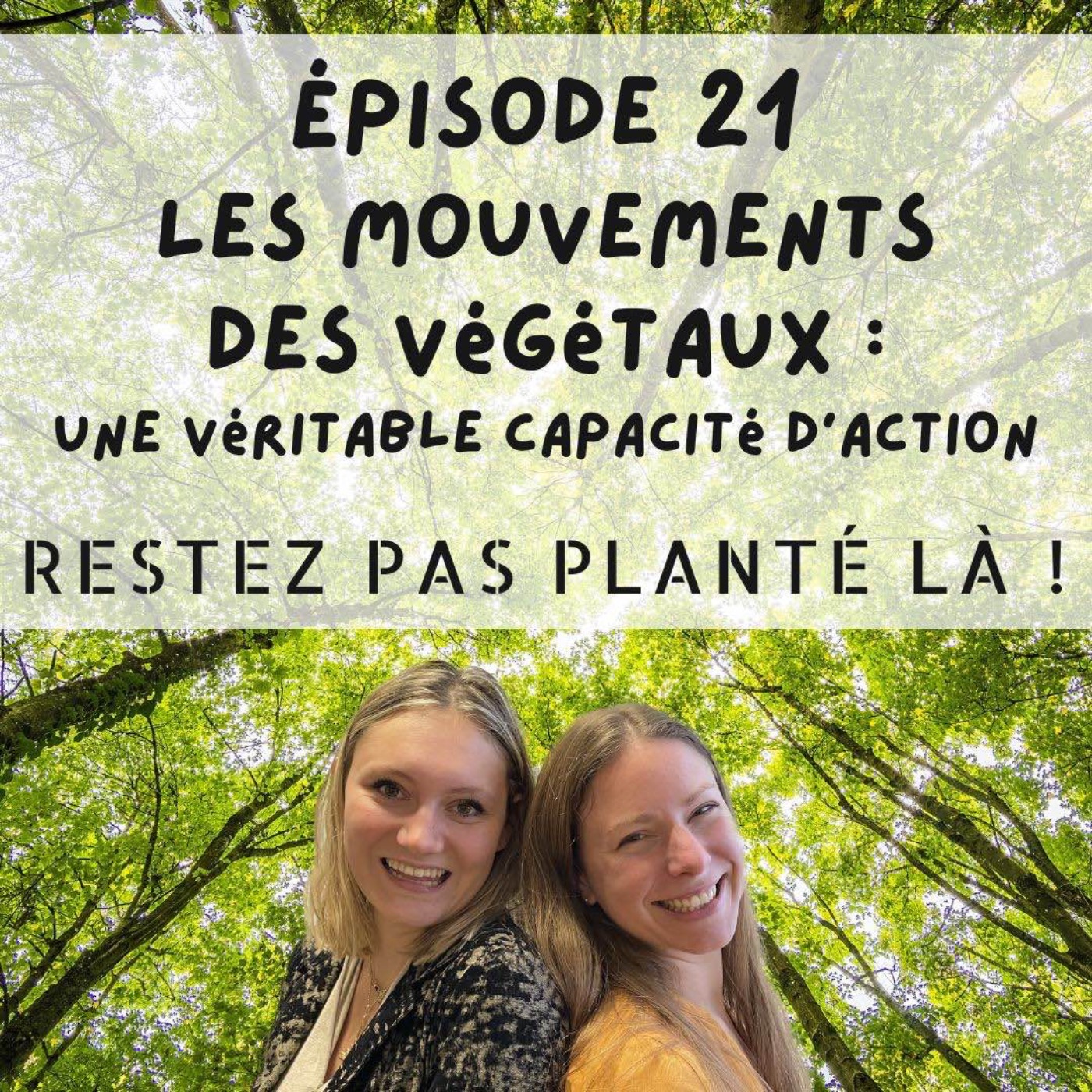 Restez pas planté là !