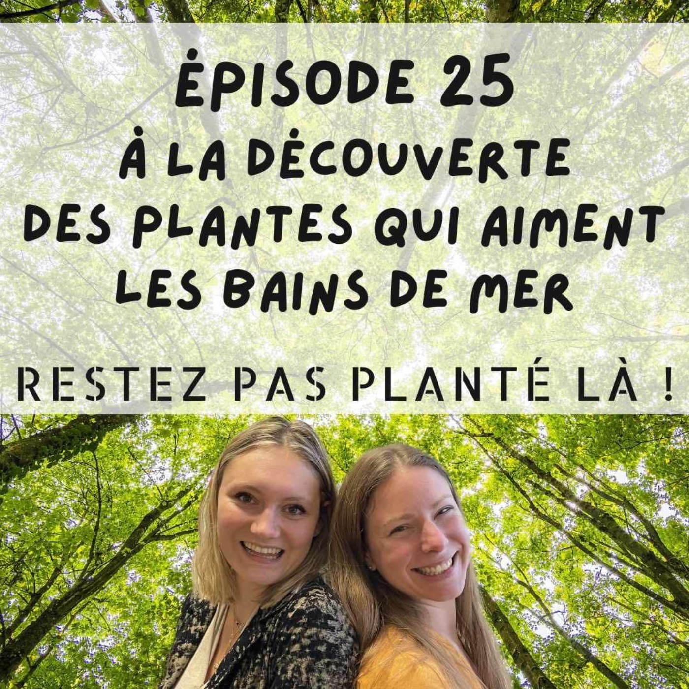 Restez pas planté là !