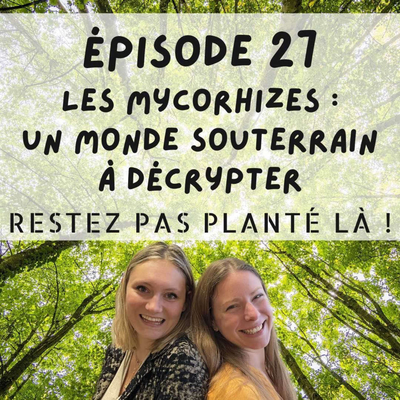 Restez pas planté là !