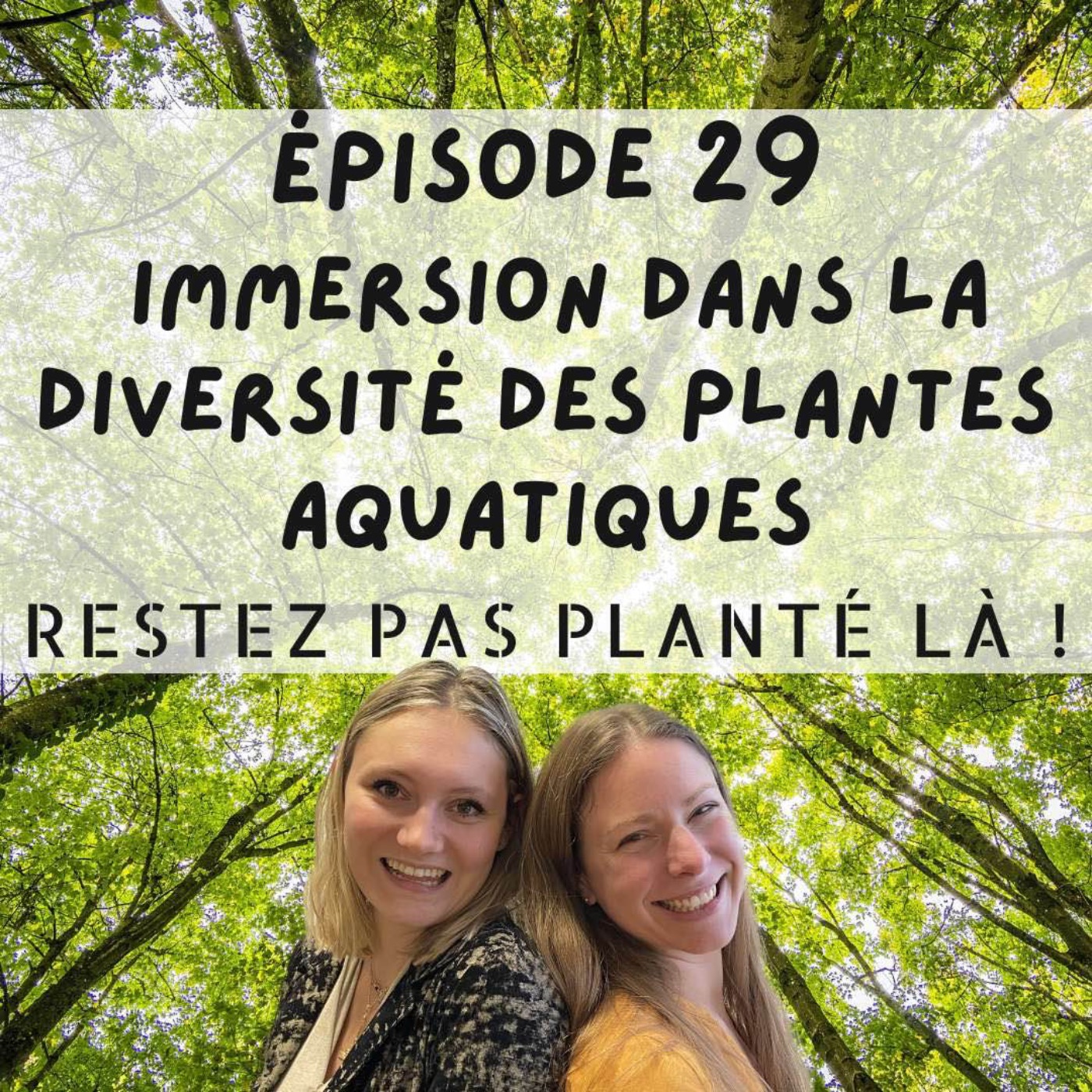 Restez pas planté là !