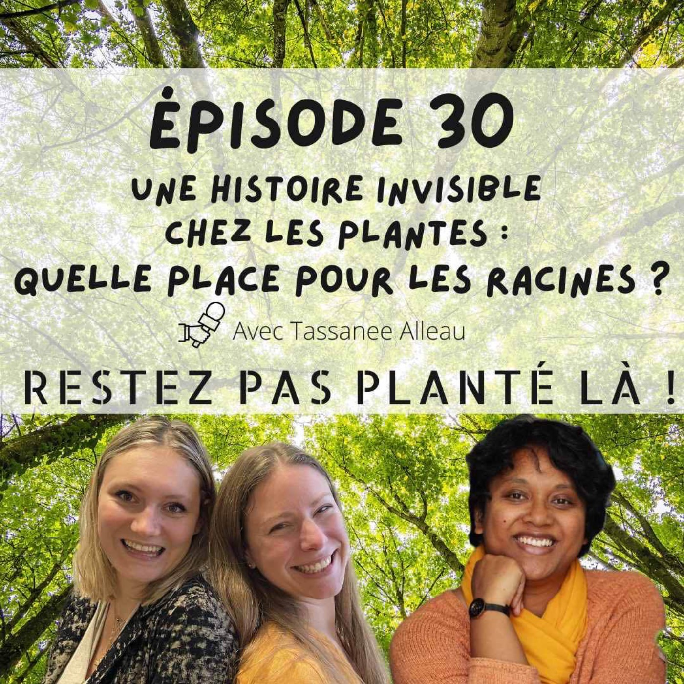 Restez pas planté là !