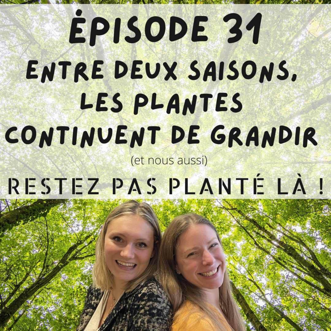 Entre deux saisons, les plantes continuent de grandir (et nous aussi)
