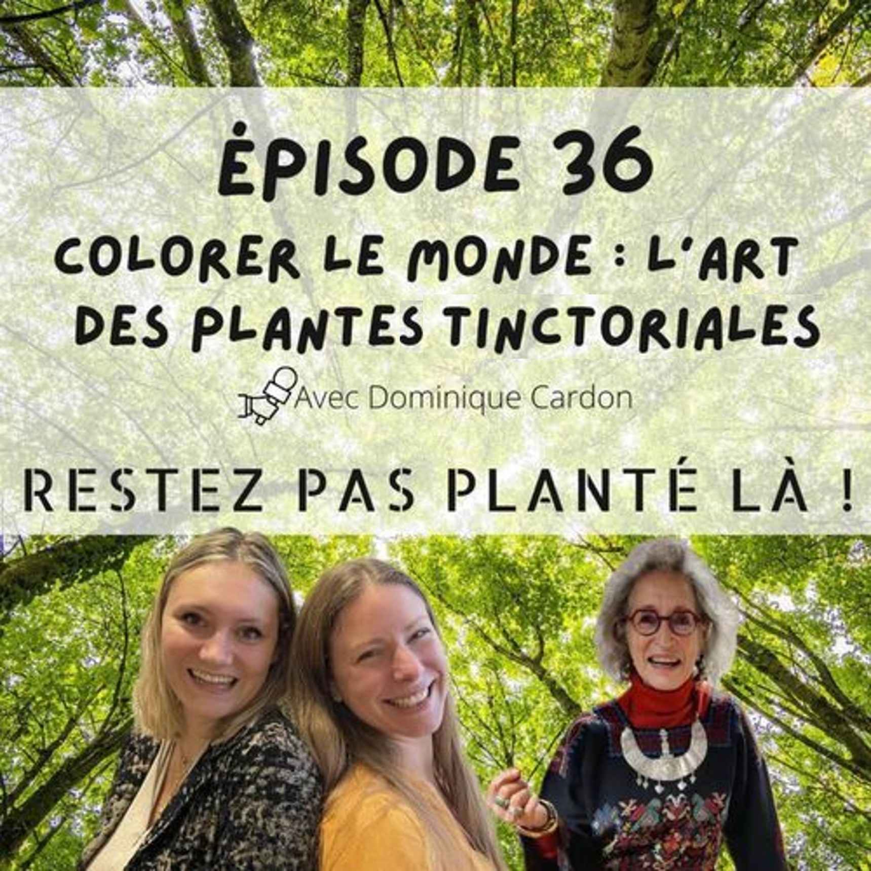 Colorer le monde : l'art des plantes tinctoriales avec Dominique Cardon