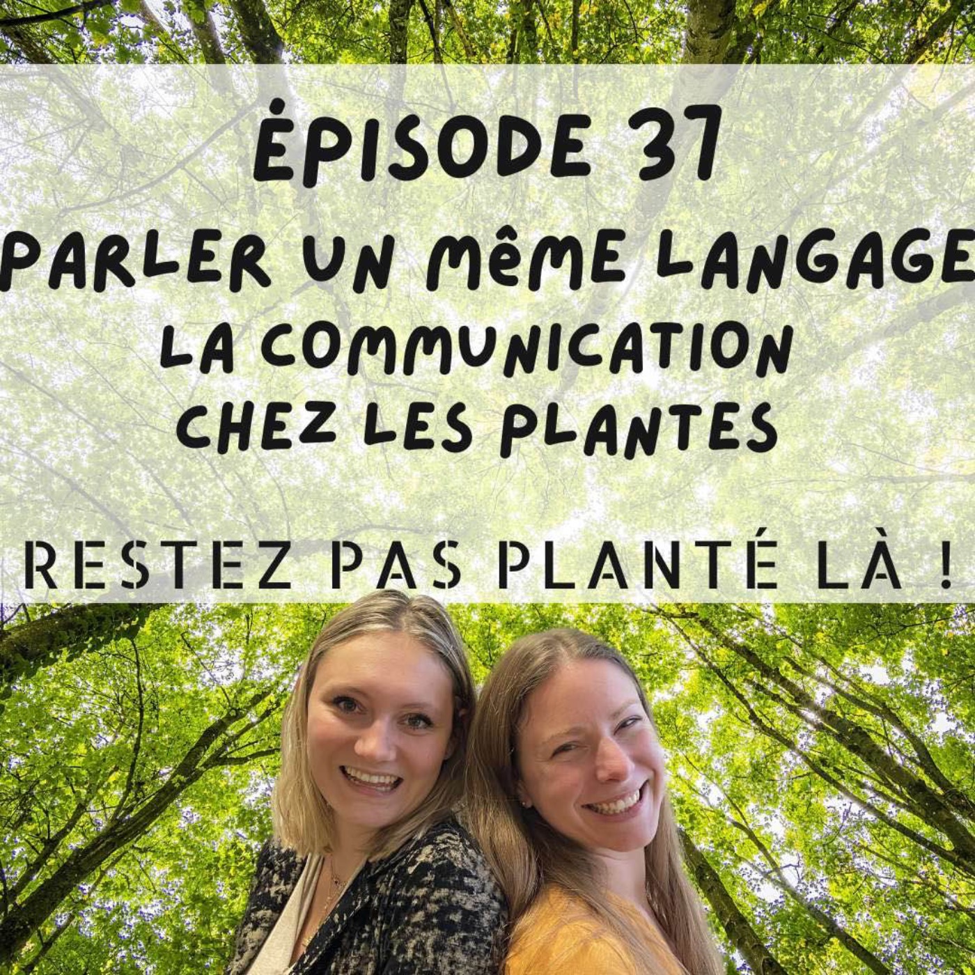 Parler un même langage, la communication chez les plantes