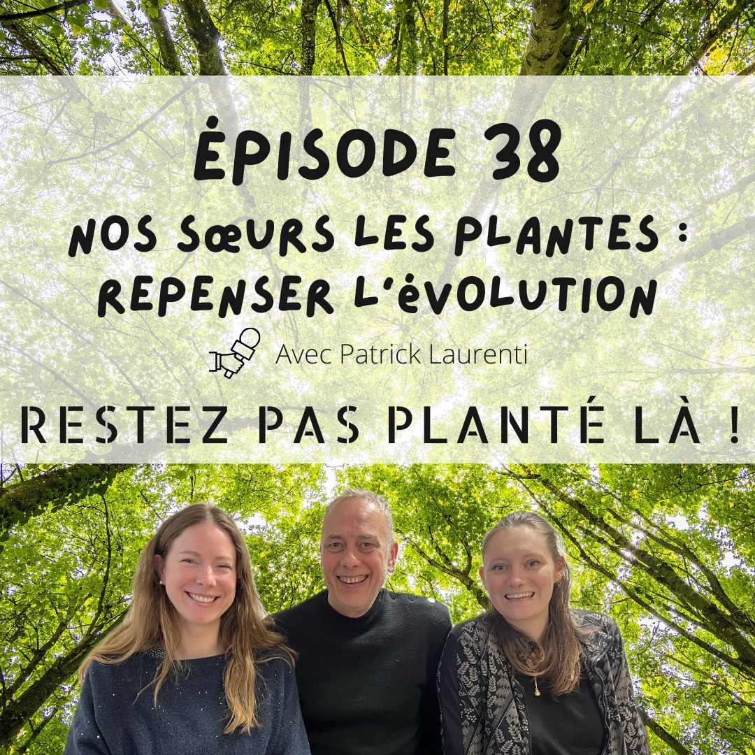 Nos sœurs les plantes : repenser l’évolution avec Patrick Laurenti