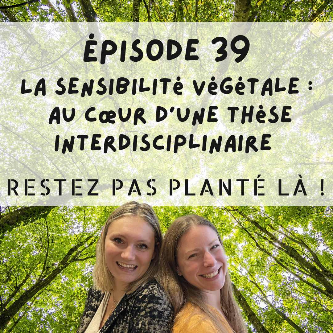 La sensibilité végétale : au cœur d’une thèse interdisciplinaire