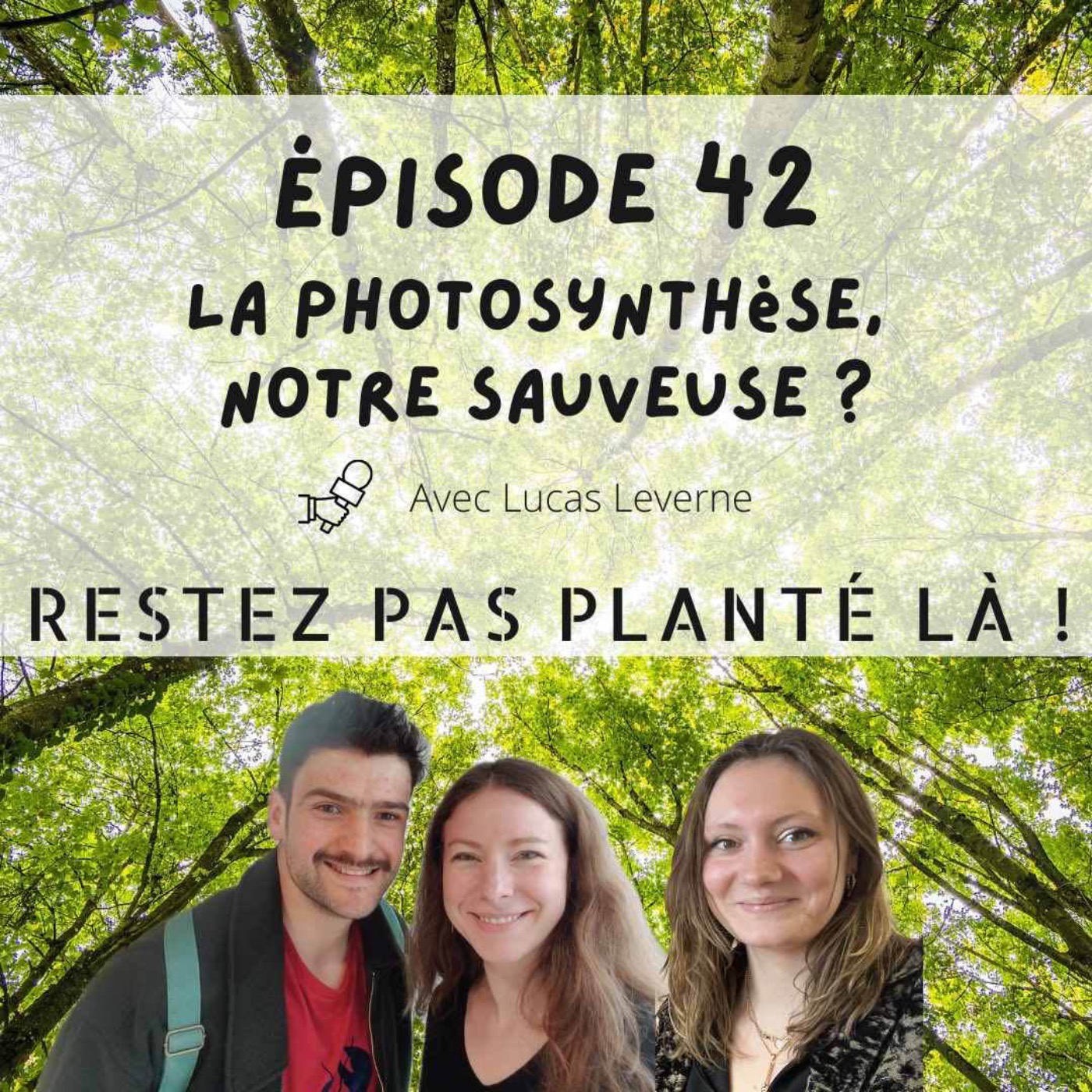 La photosynthèse, notre sauveuse ?  avec Lucas Leverne