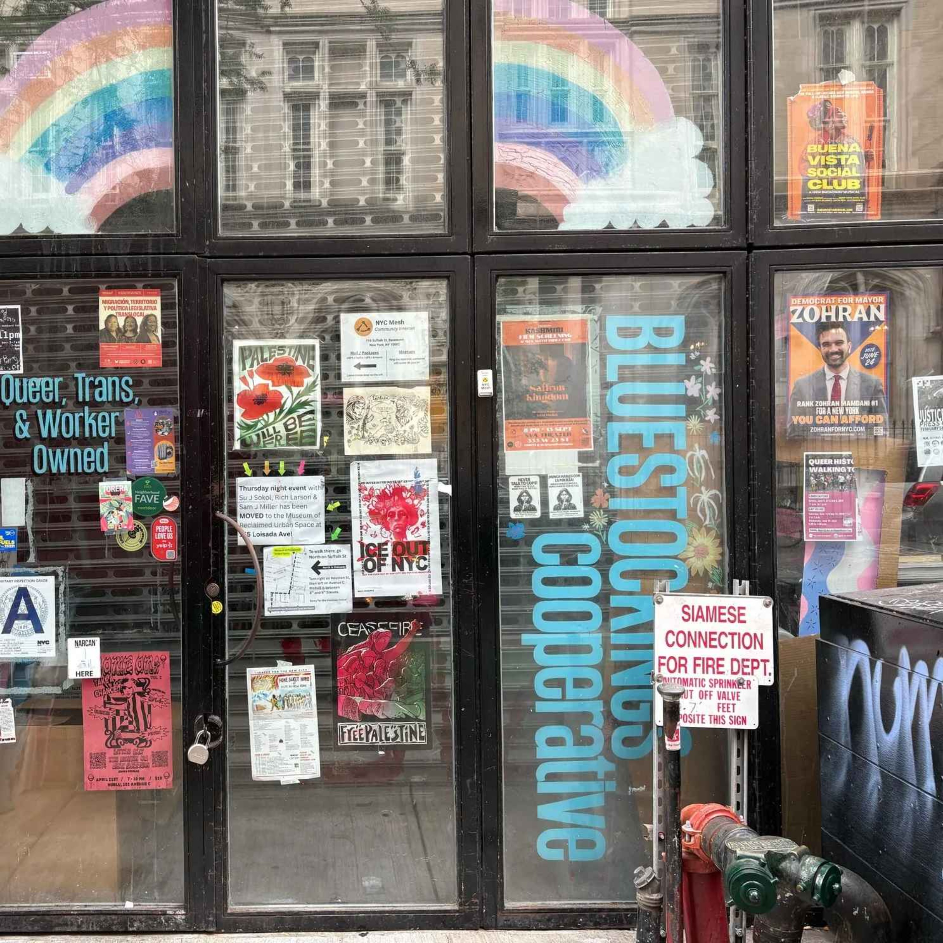 What Is Happening at Bluestockings? episode artwork