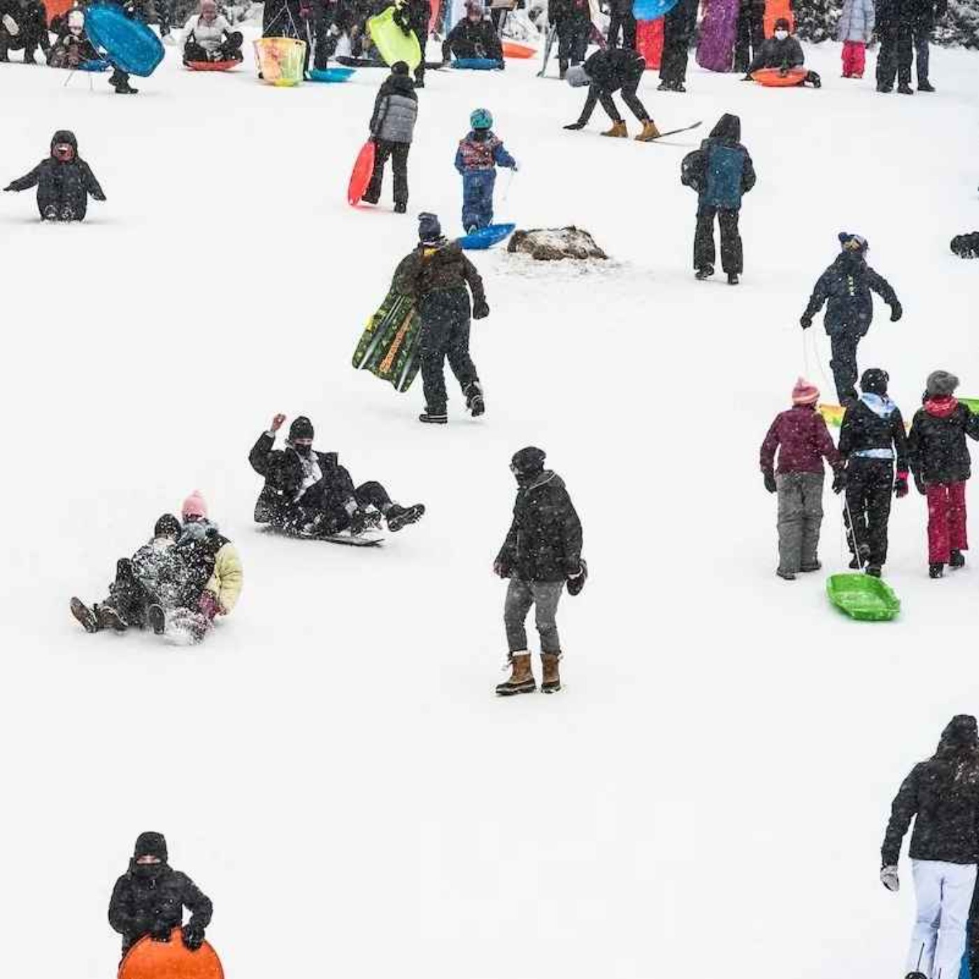 Zohran’s Snow Betrayal feat. Michael Lange