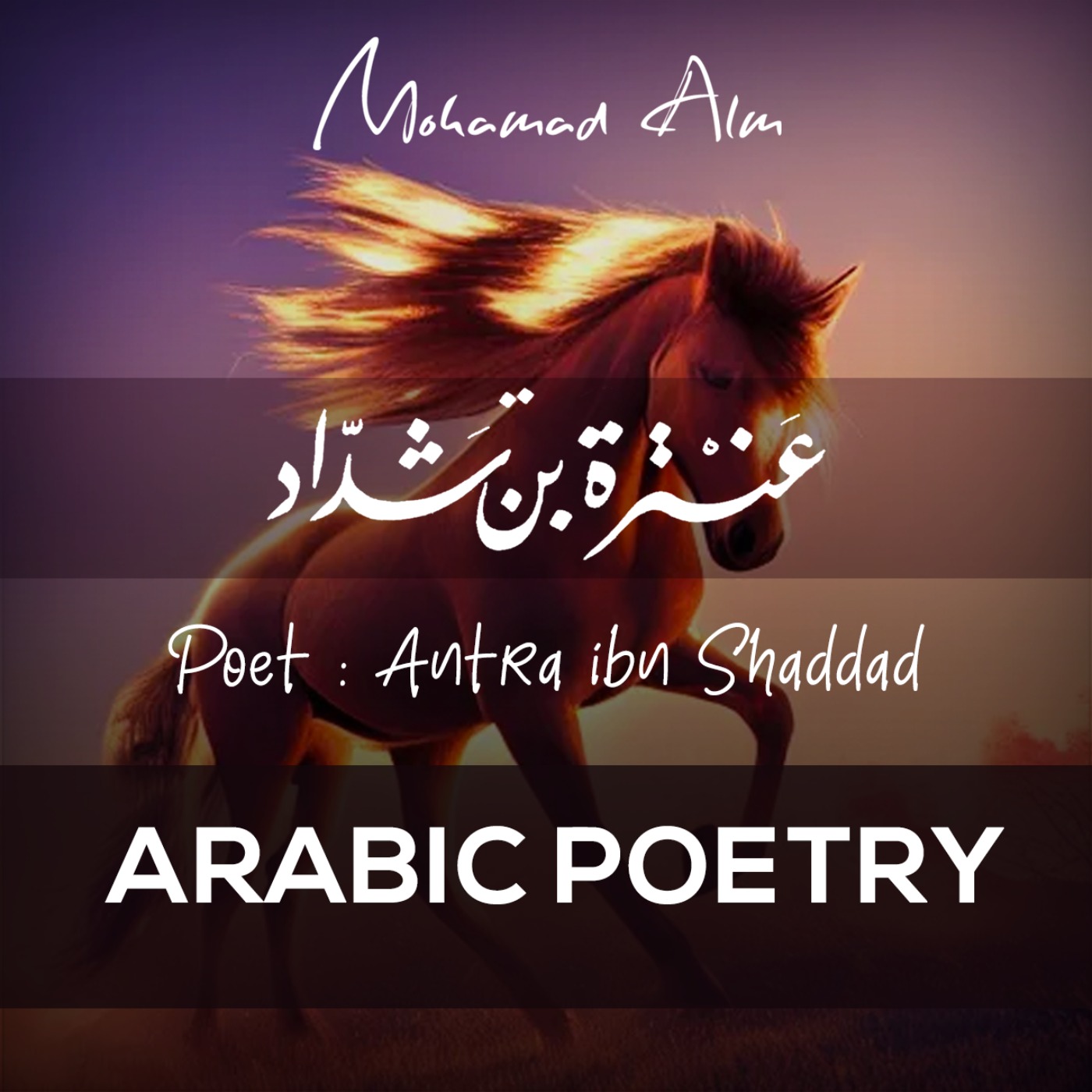 Arabic Poem Arabic poetry Reading  - Antra ibn Shaddad episode artwork