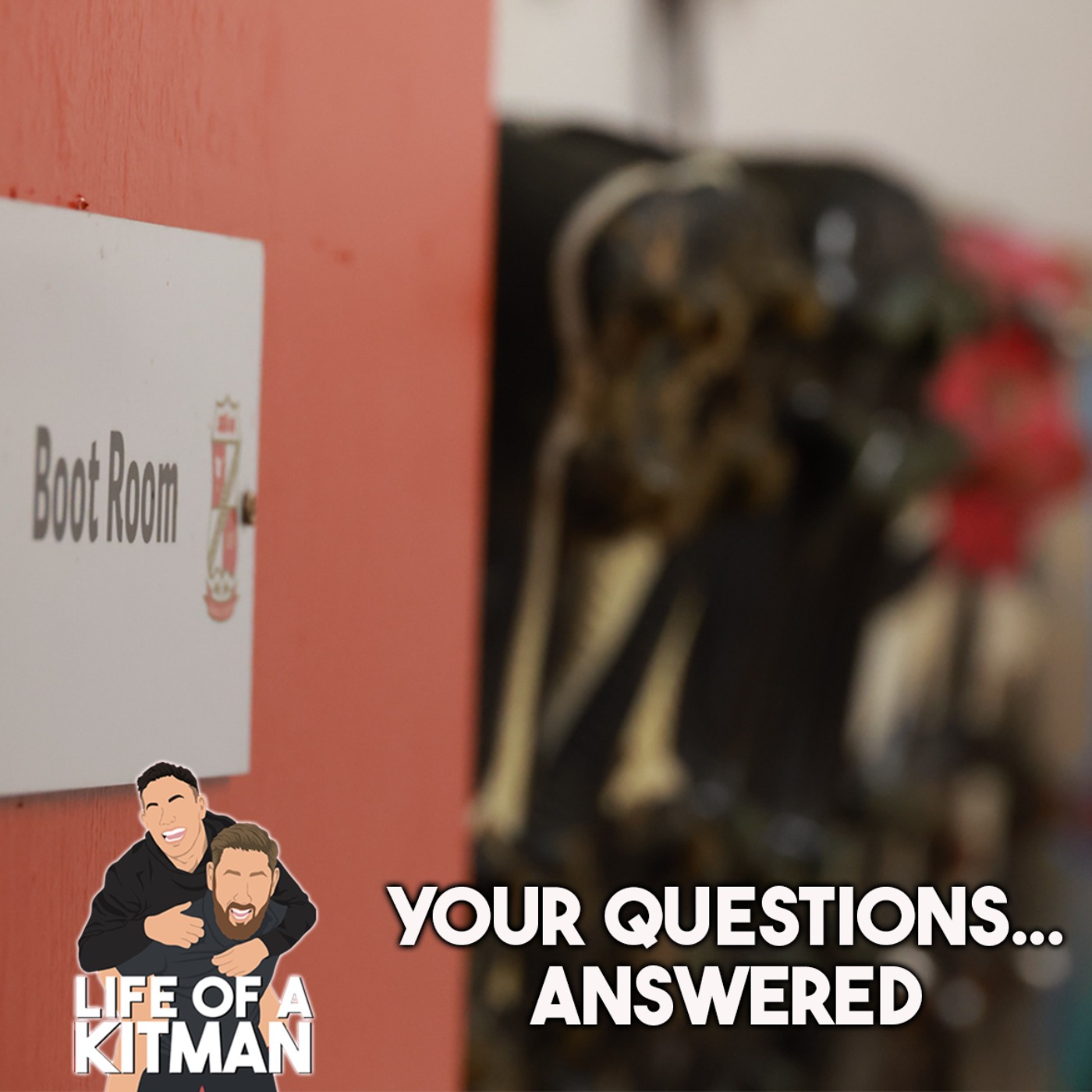 Your Questions...ANSWERED