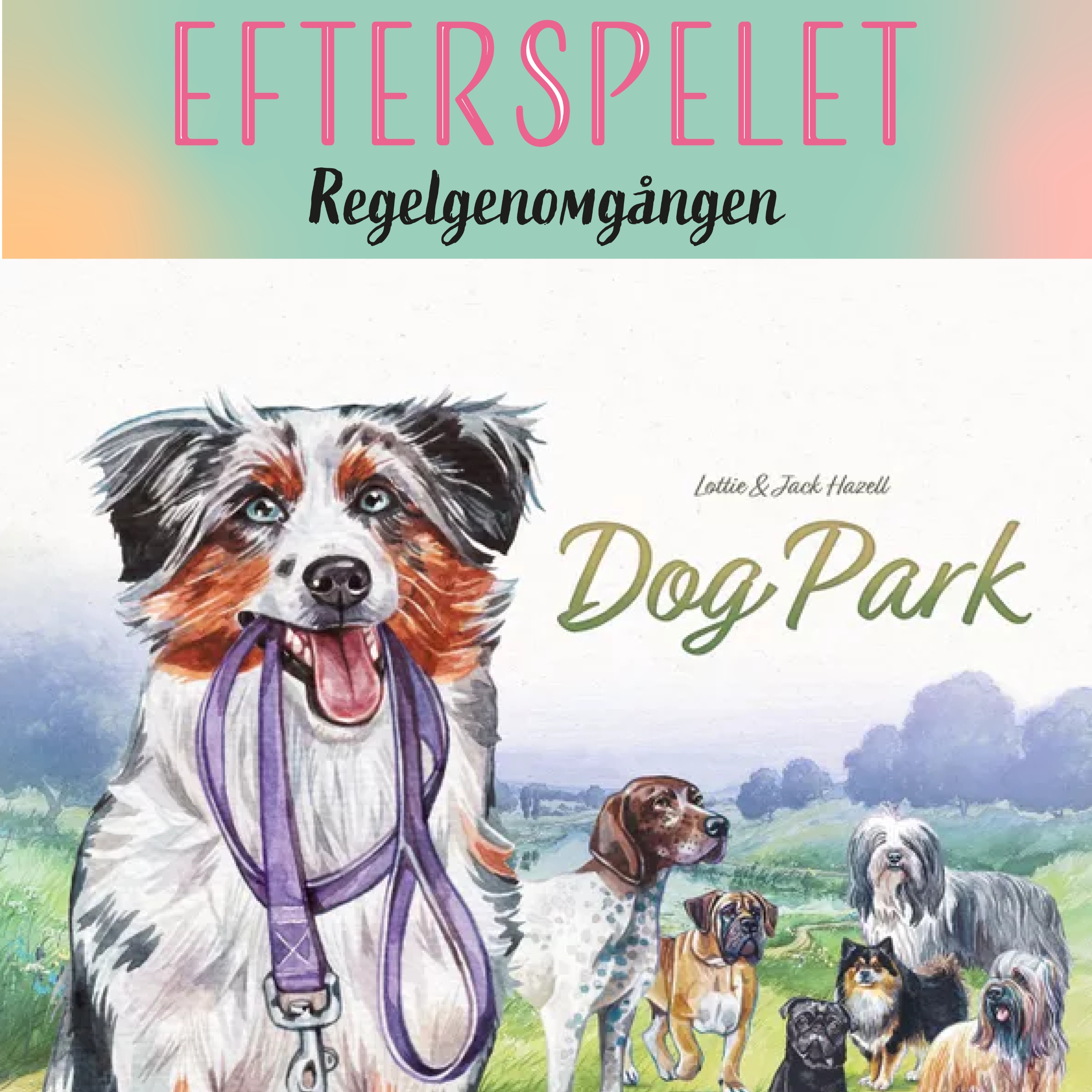 cover art for Dog Park - Regelsnacket