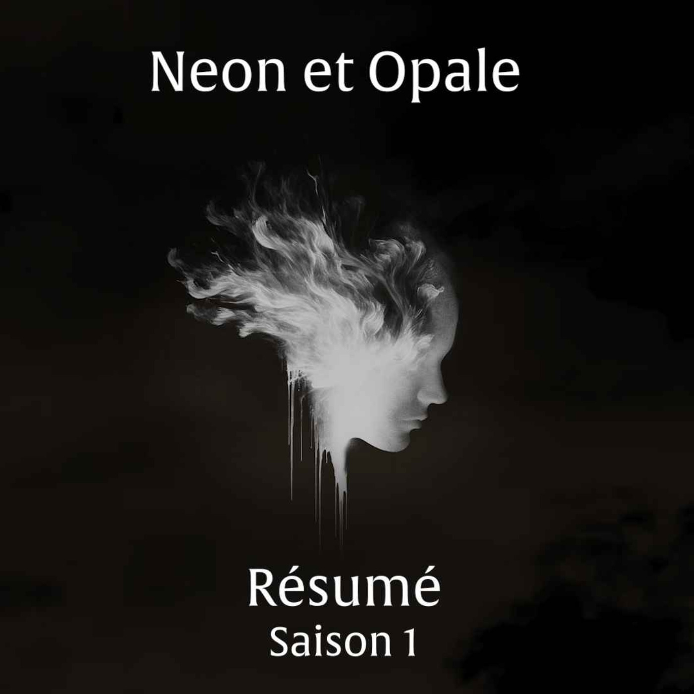 Récap-Néon et Opale-Partie 1