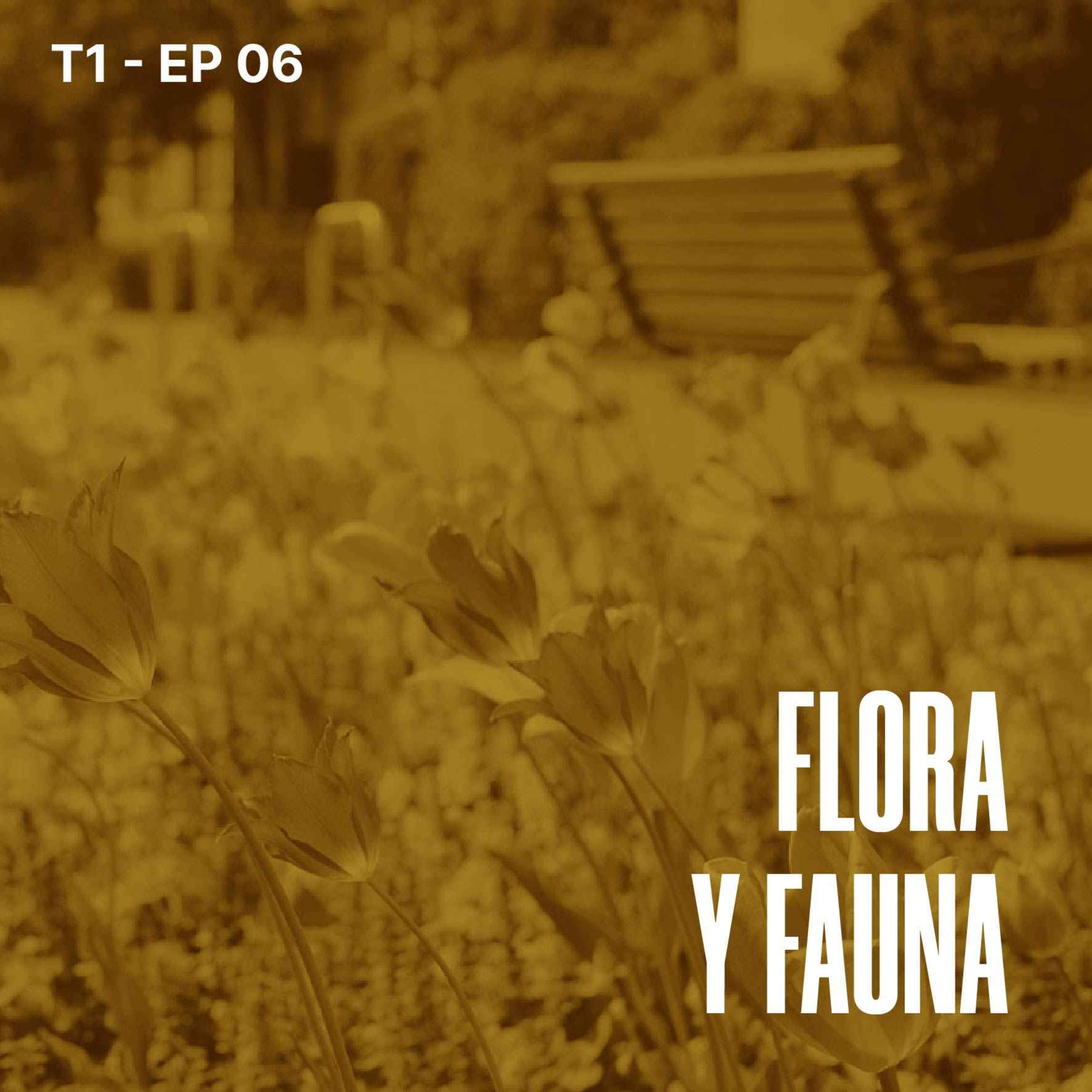 SUENA LA CIUDAD