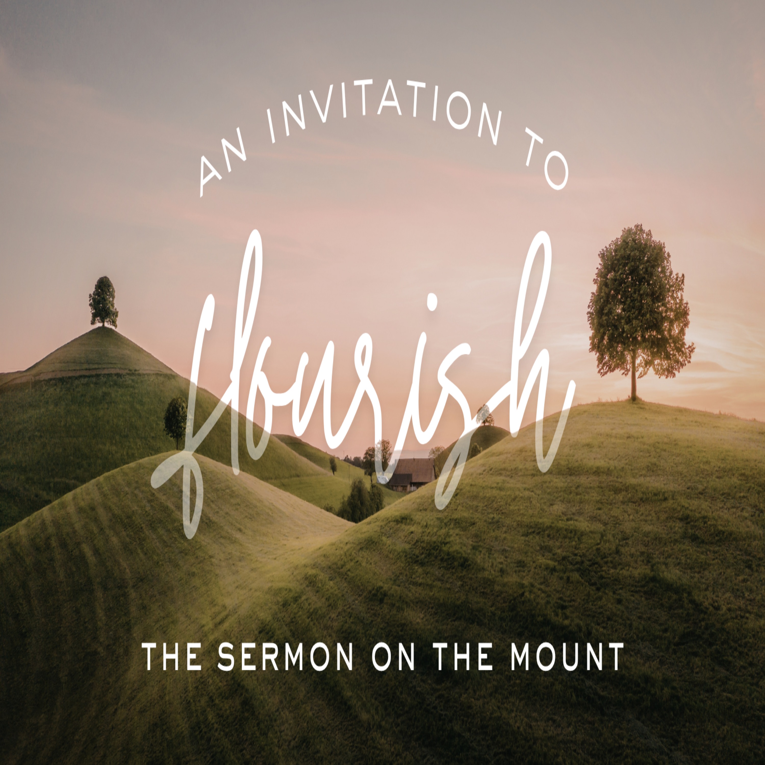 Sermon on the Mount | David Upton episode artwork