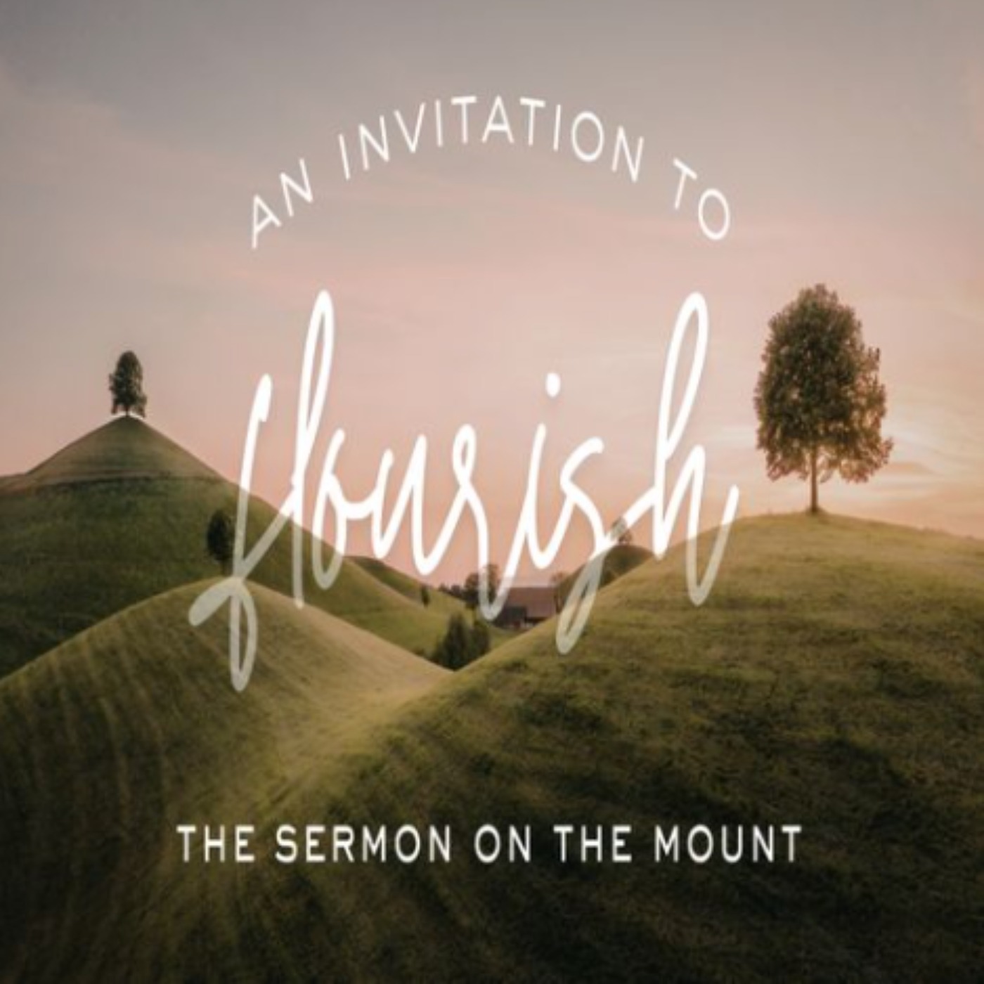 The Sermon on the Mount | David Upton episode artwork