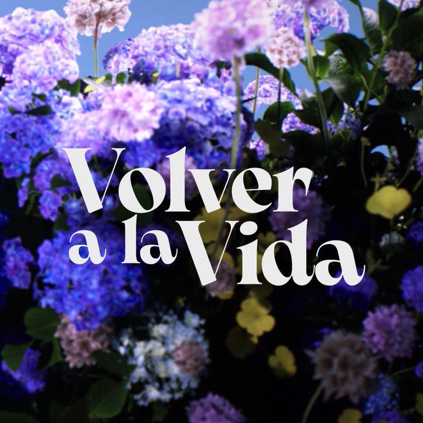 Volver a la Vida - Back To Life episode artwork