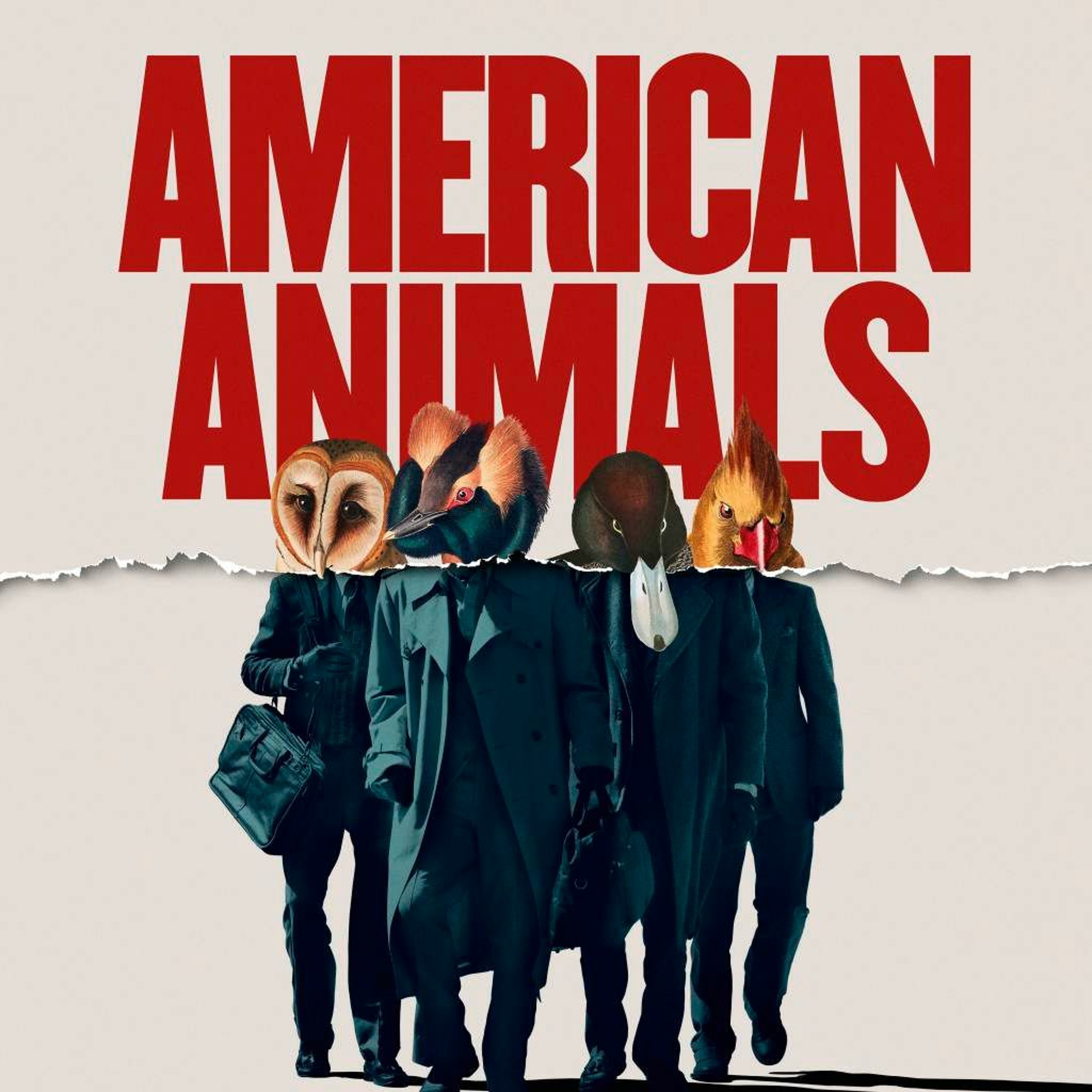 American Animals - Did I Hit My Head?