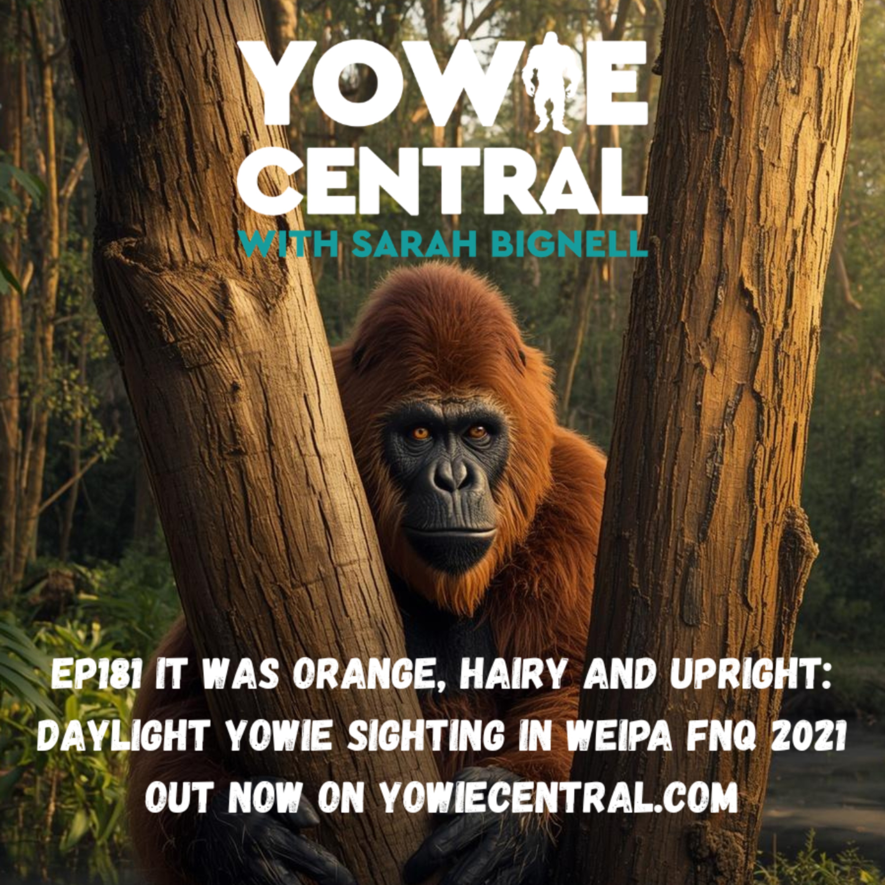 EP181 It Was Orange, Hairy and Upright: Daylight Yowie Sighting in Weipa FNQ 2021 episode artwork