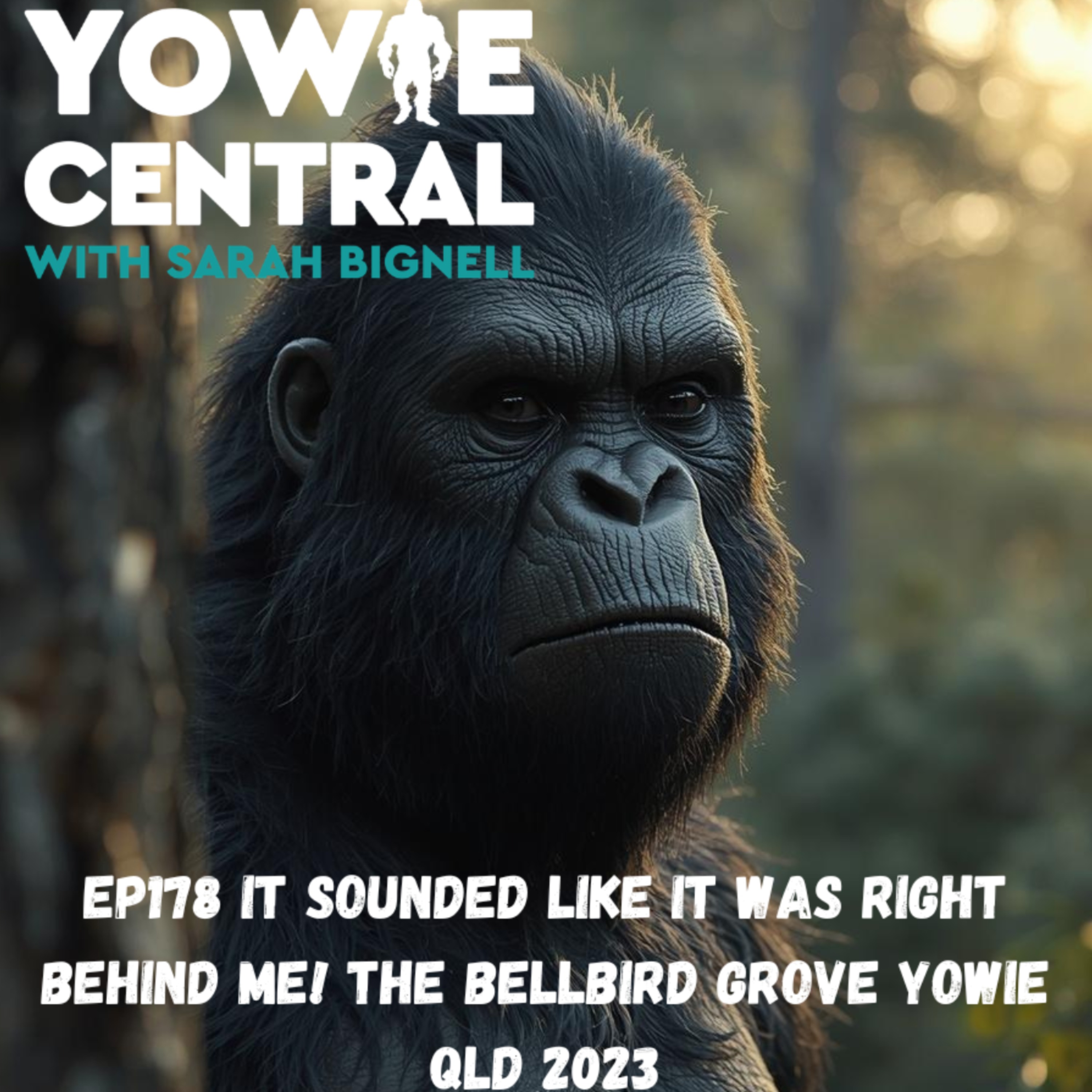 EP178 It Sounded Like It Was Right Behind Me! The Bellbird Grove Yowie QLD 2023 episode artwork
